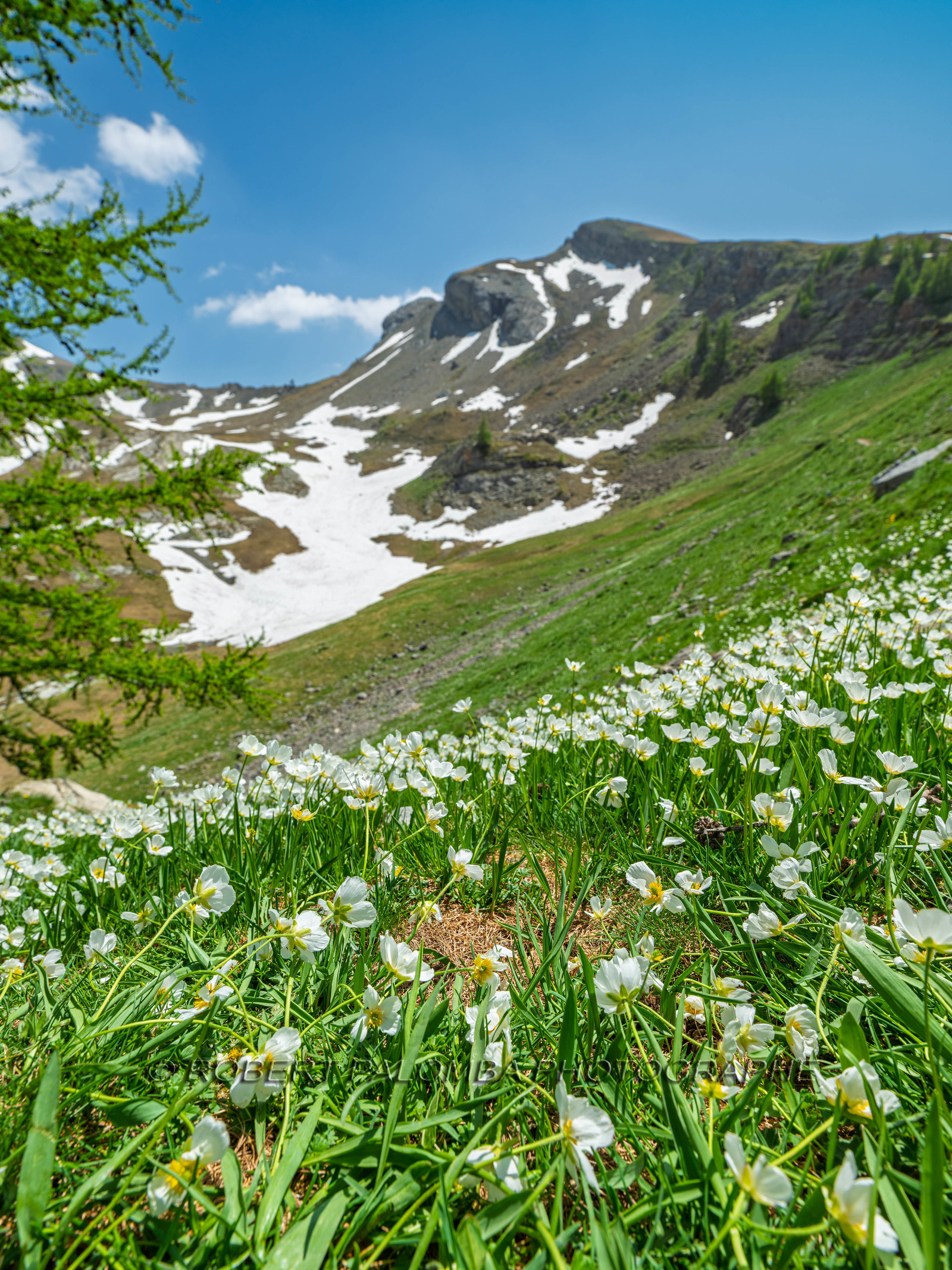 Lac d'Allos