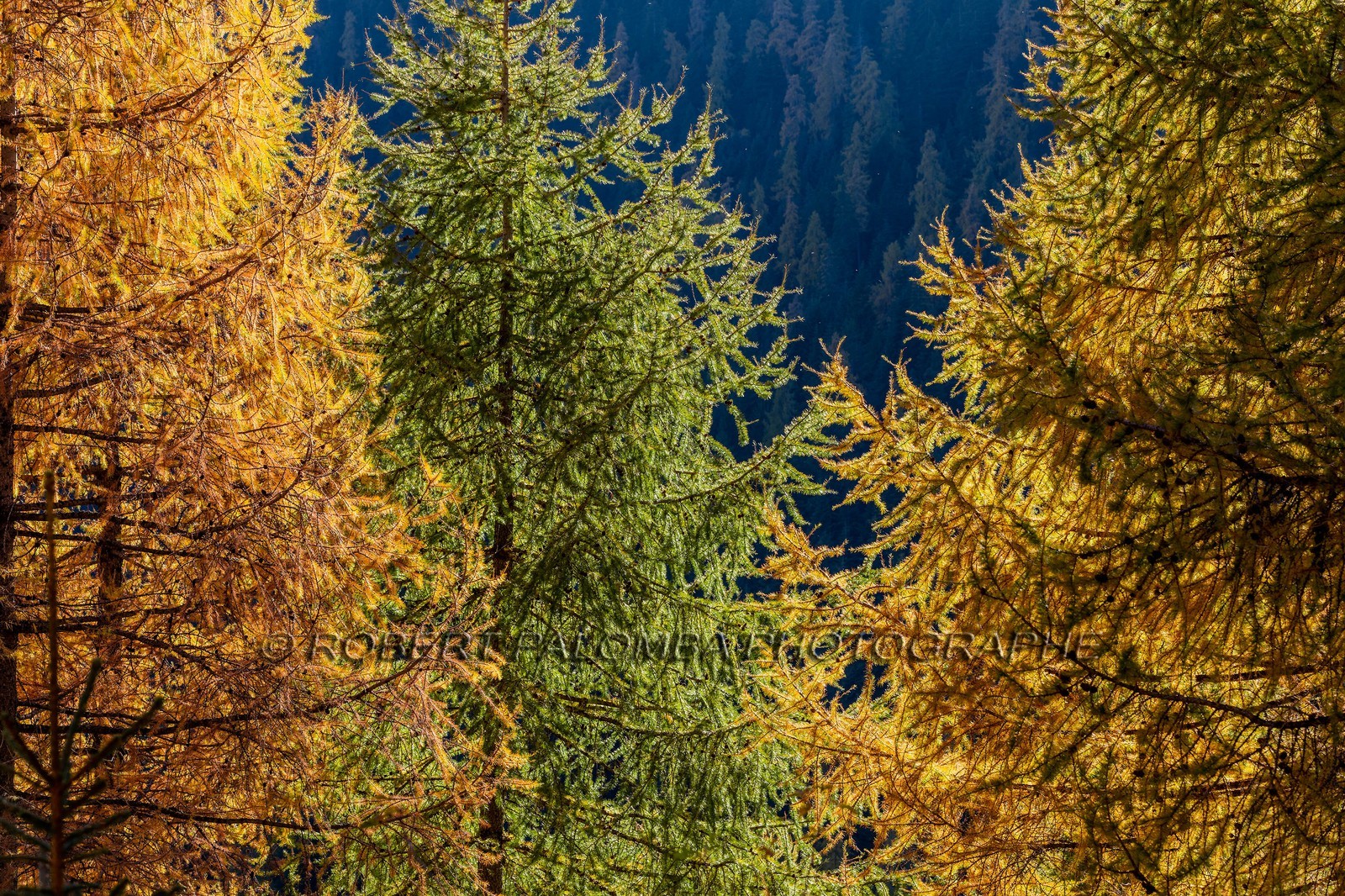 Granges de la Brasque