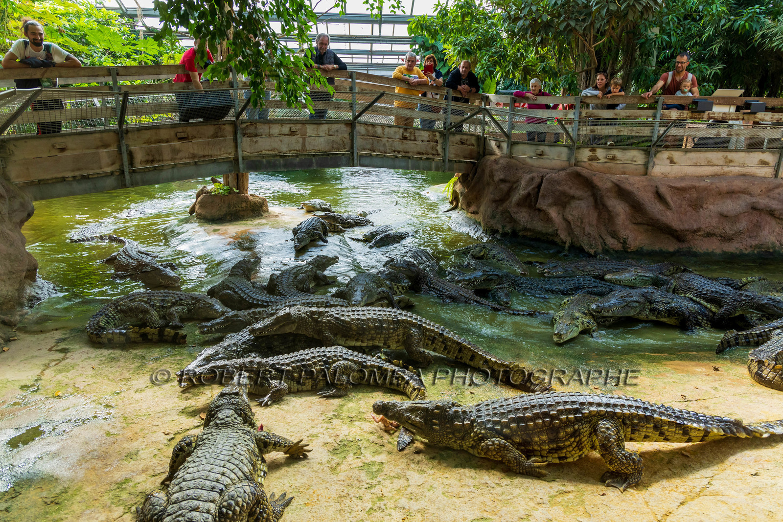 La Ferme aux crocodiles
