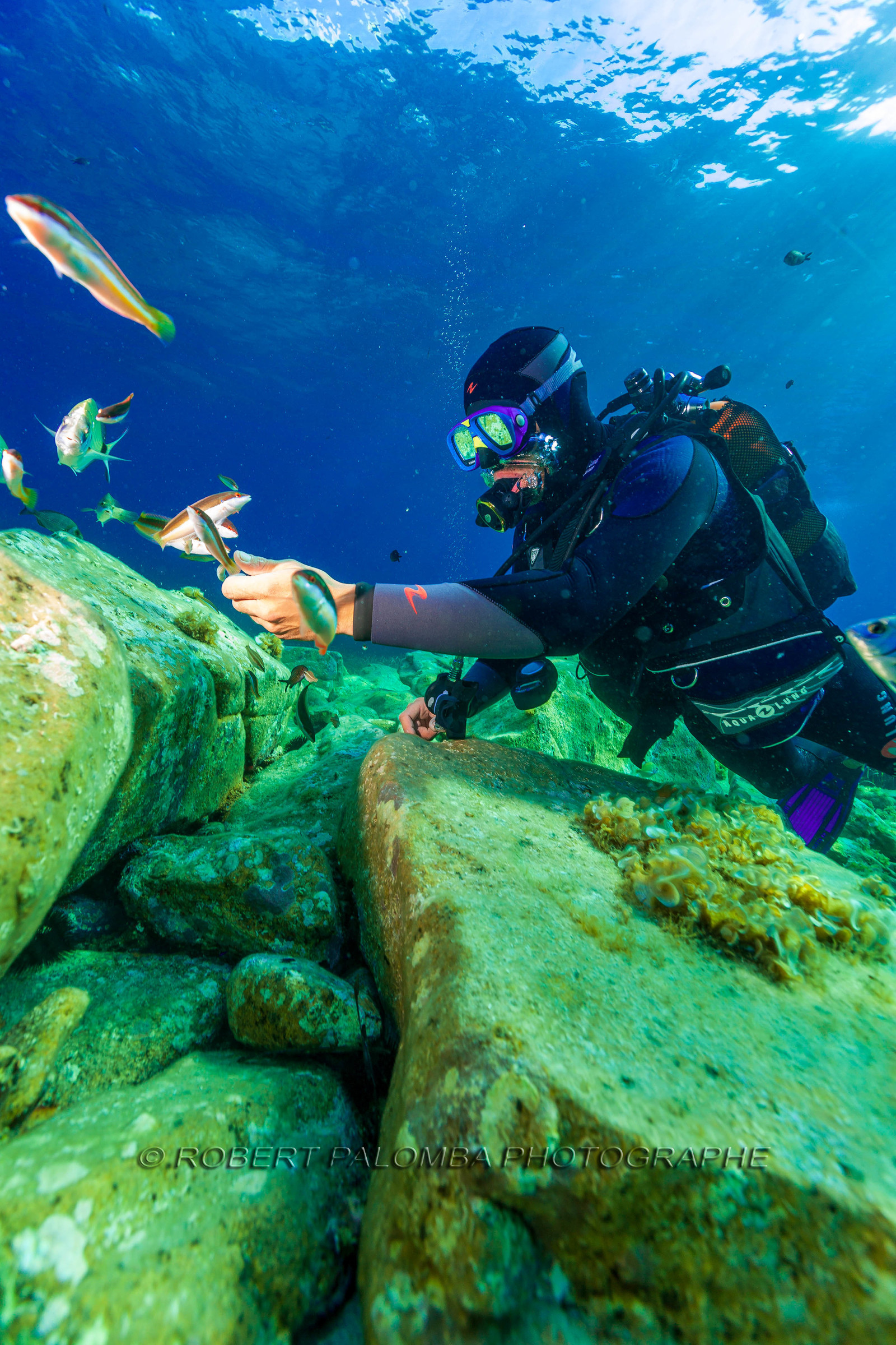 Plongée-sous-marine