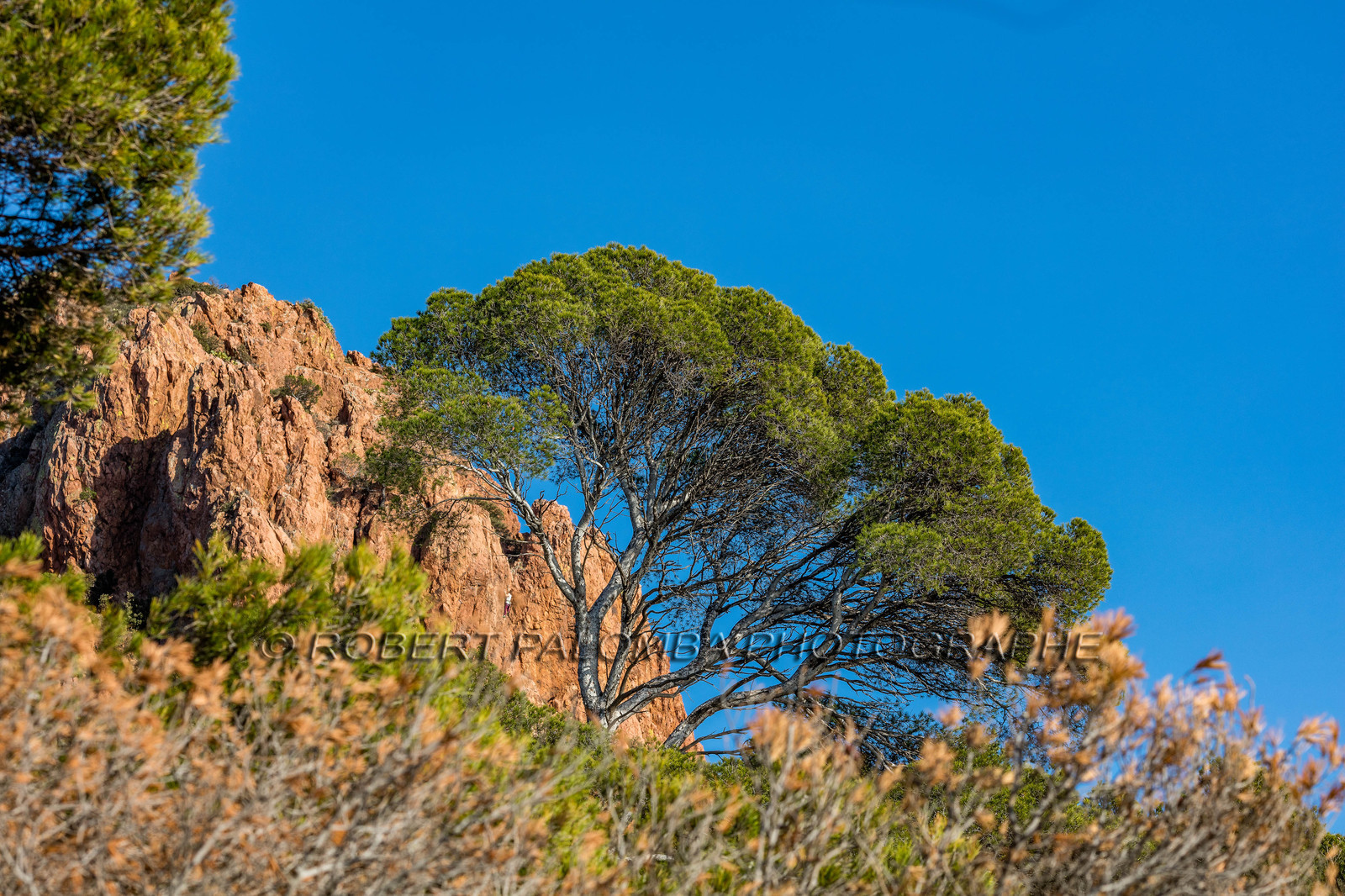 Var (83) Estérel, Cap Dramont