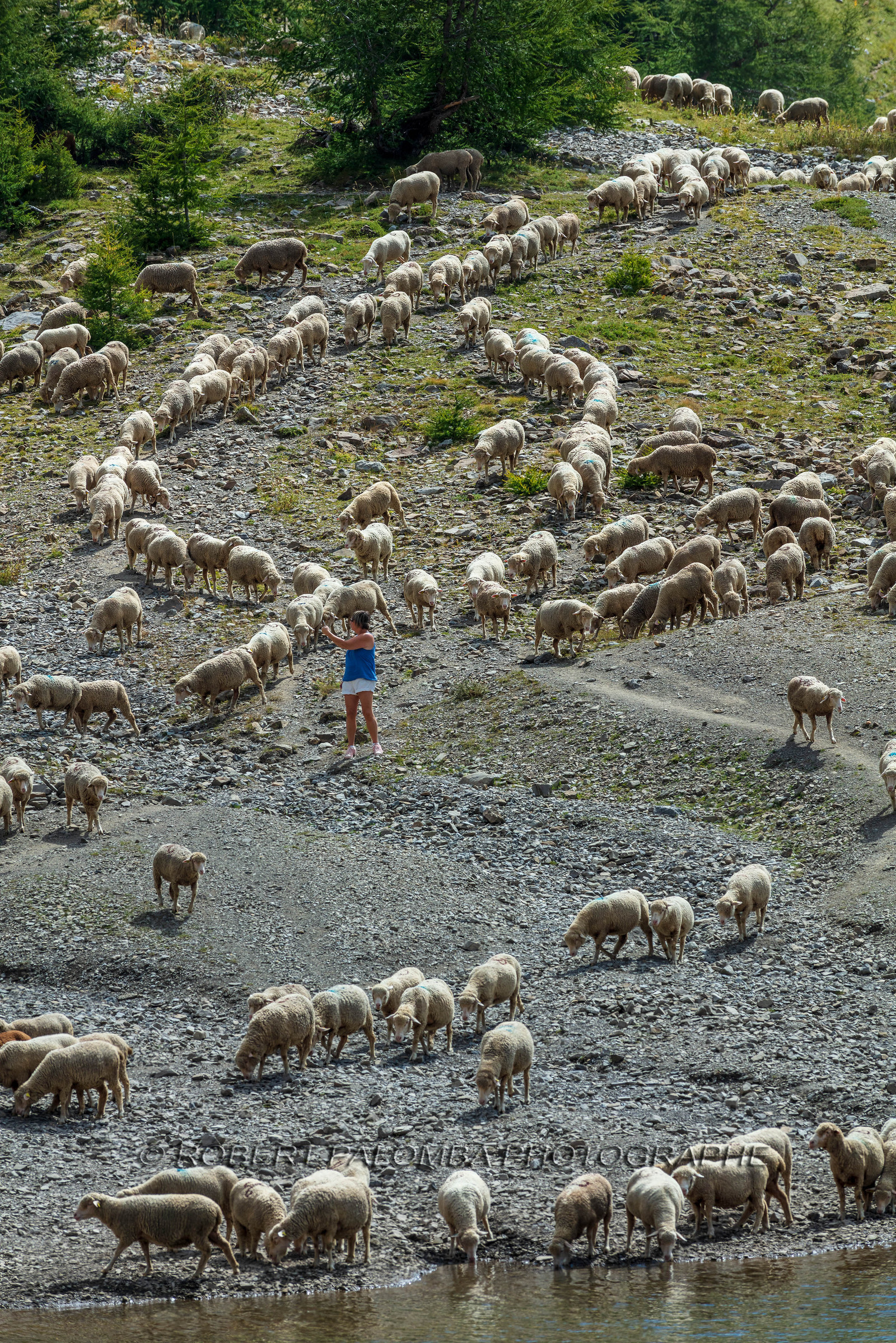 Lac d'Allos