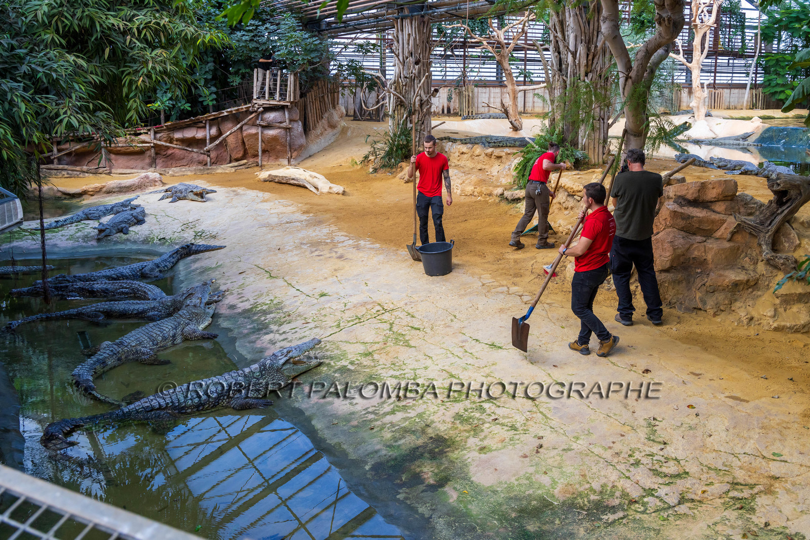 La Ferme aux crocodiles