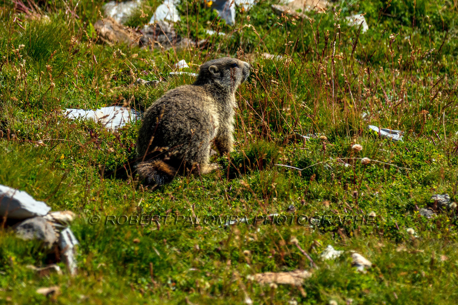 Rando des trois lacs