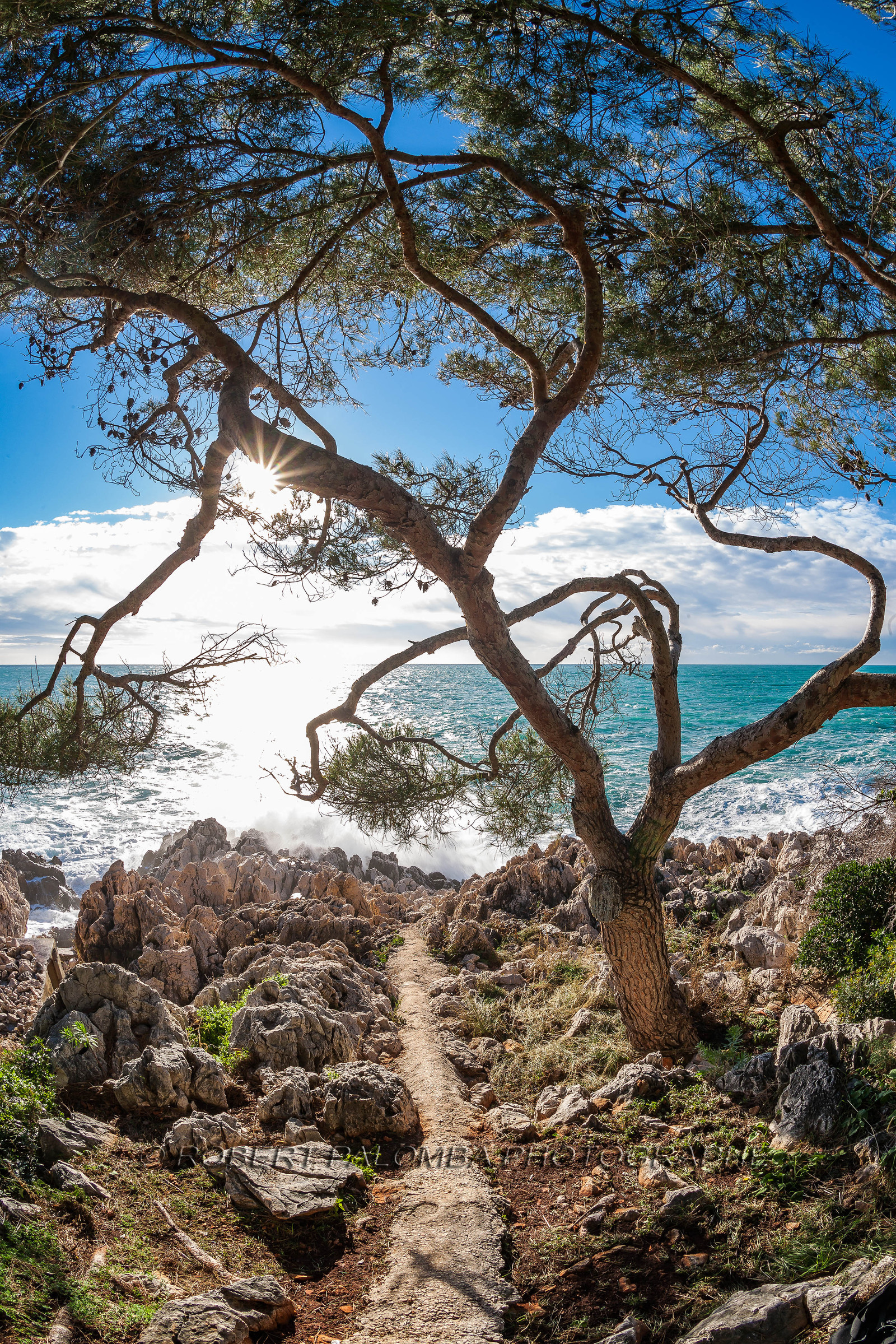 Roquebrune-Cap-Martin