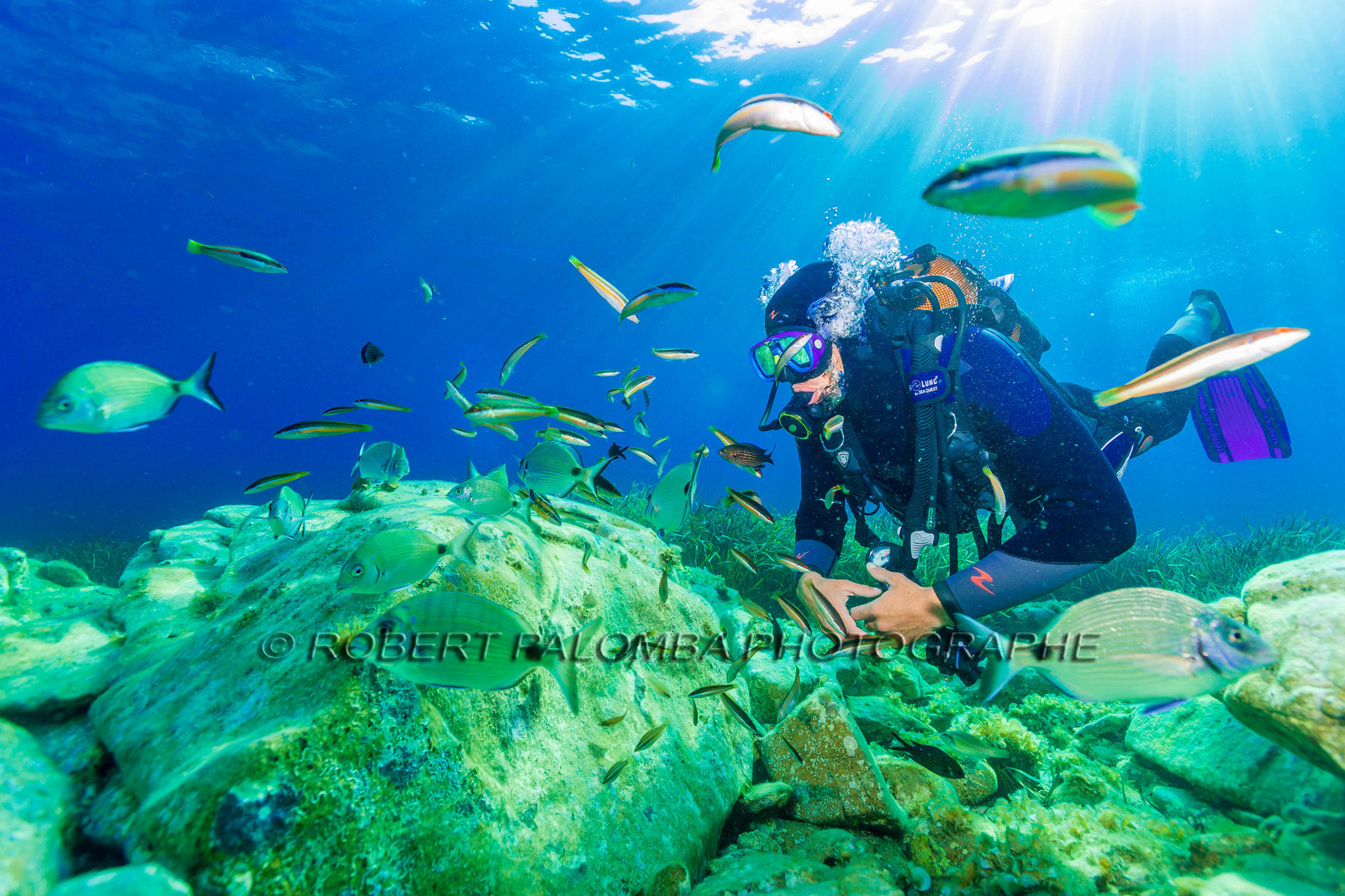 Plongée-sous-marine