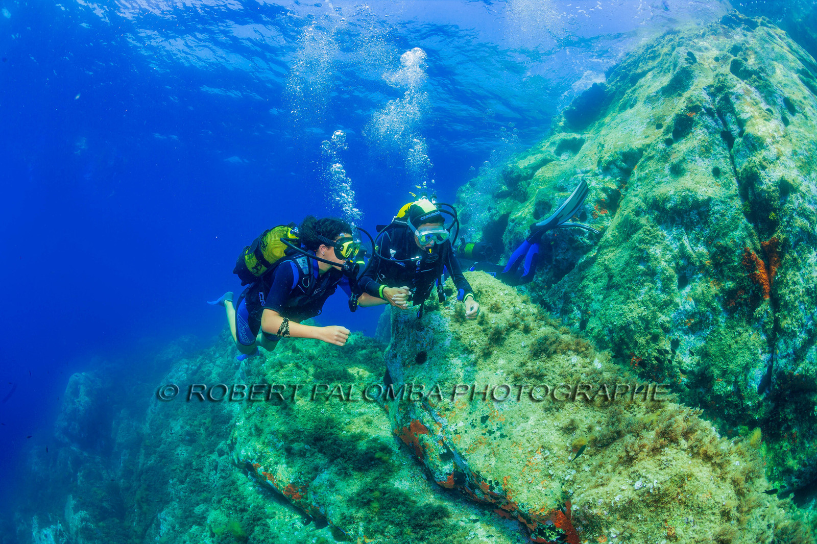 Plongée-sous-marine