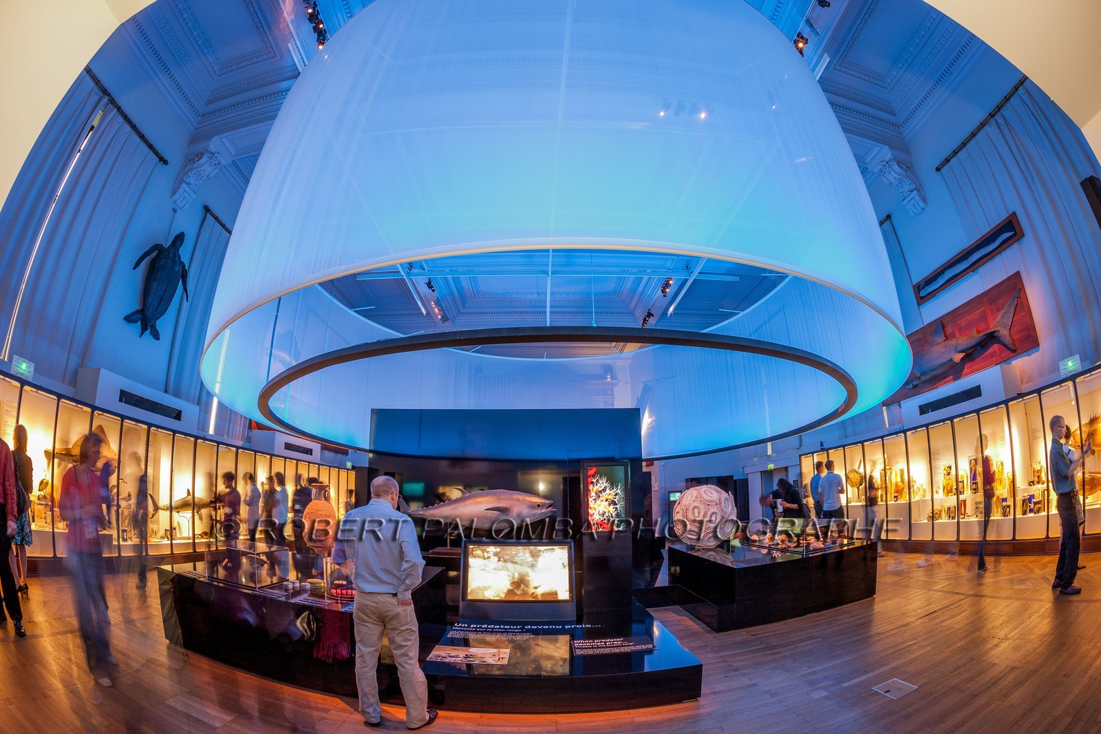 Musée Océanographique de Monaco