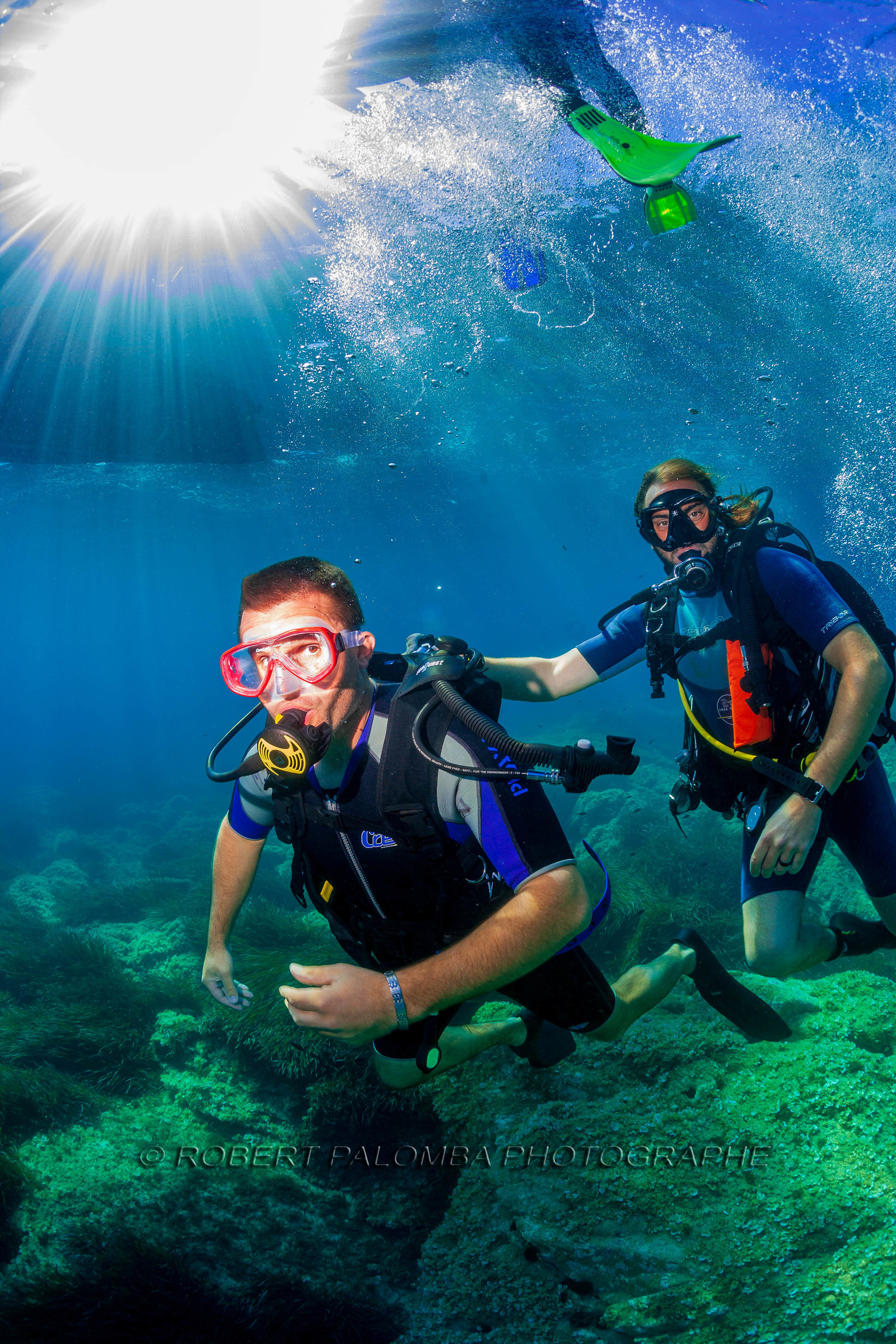 Plongée-sous-marine