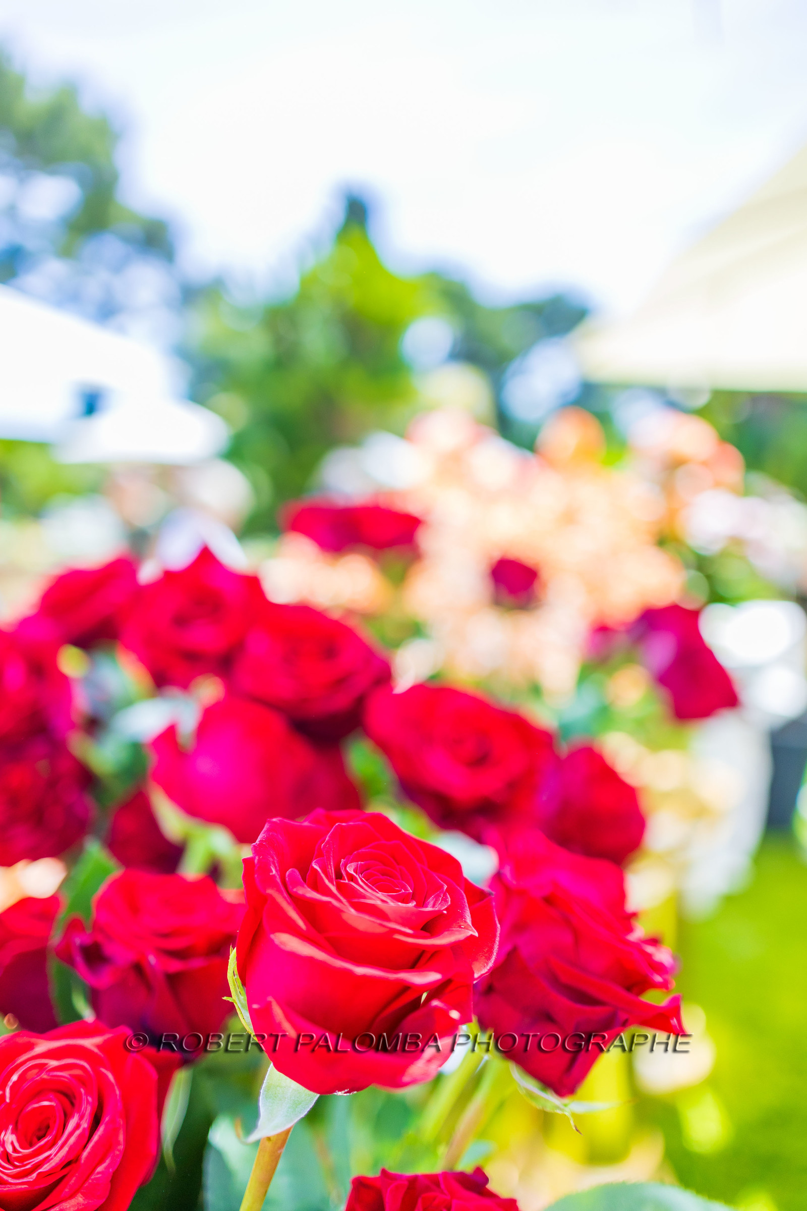 Saint-Jean-Cap-Ferrat