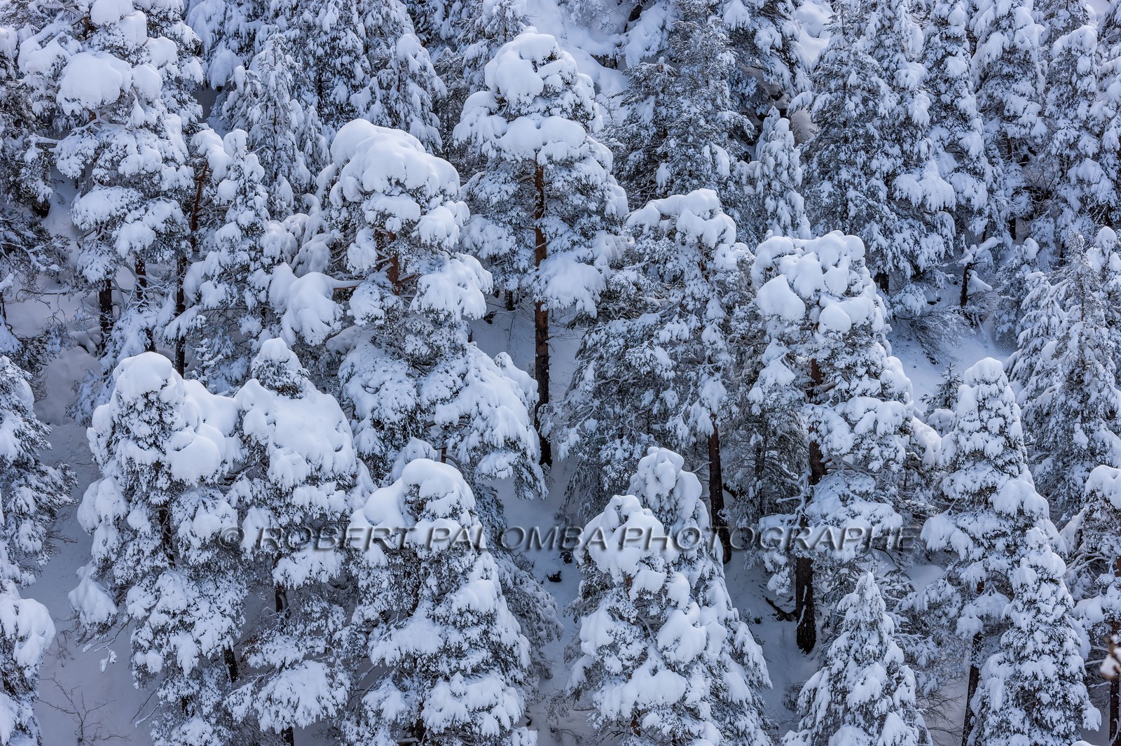 La Colle-Saint-Michel