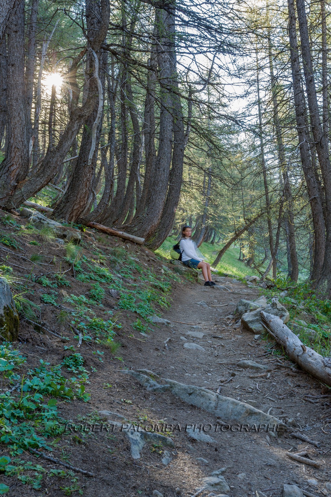Col de la Petite Cayolle