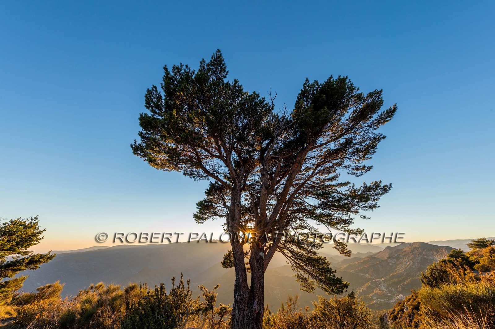 Toudon vu du Mont Vial