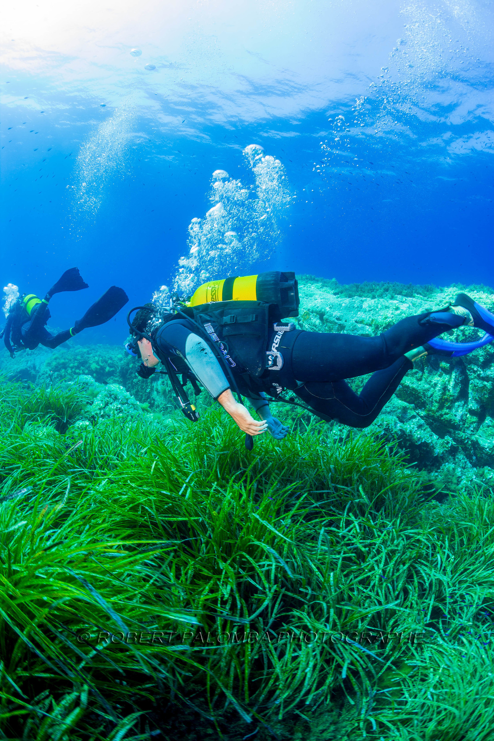 Plongée-sous-marine