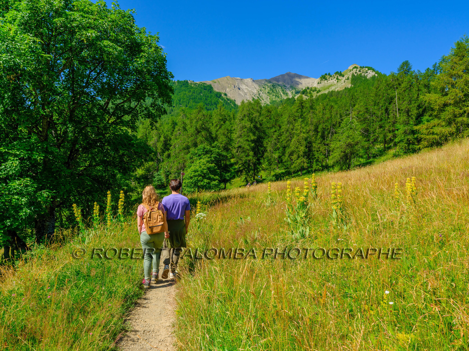 Rando Lac des Grenouilles