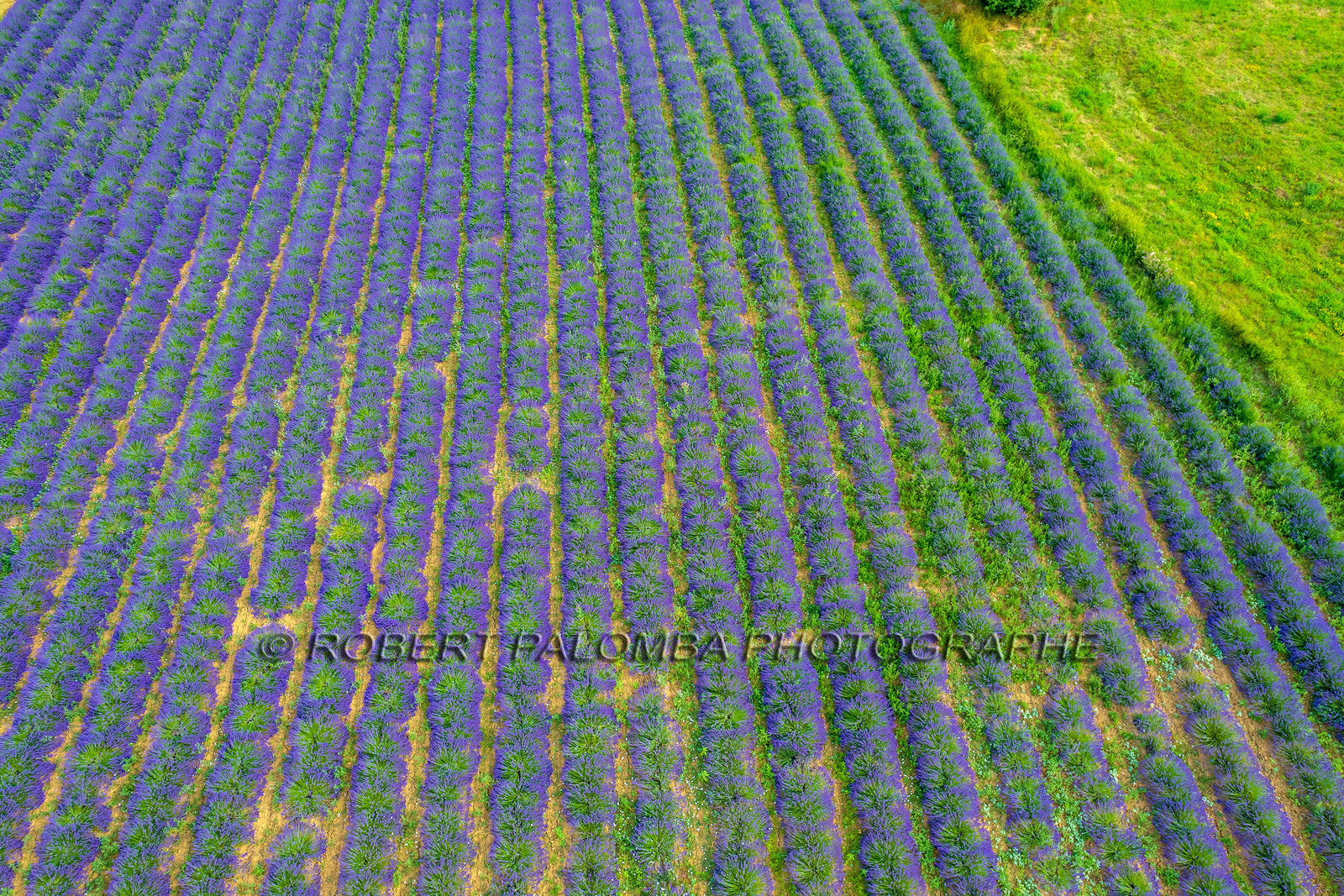 Le Chaffaut-Saint-Jurson