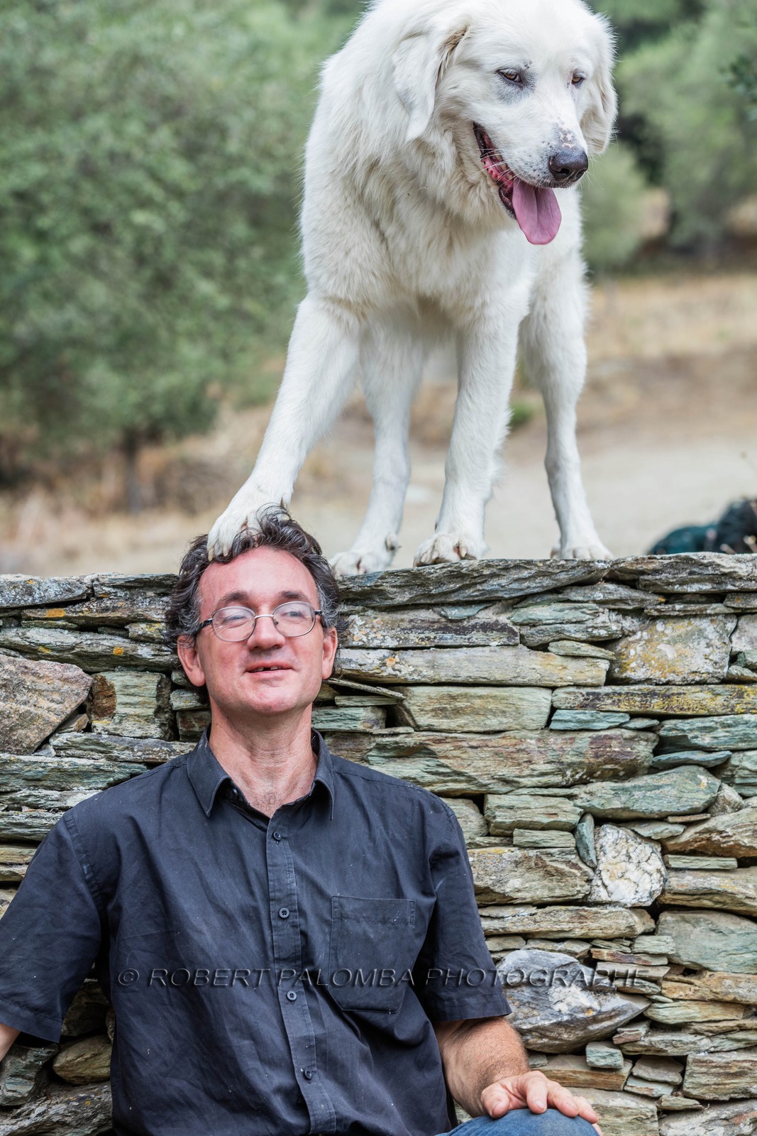 Santo-Pietro-di-Tenda