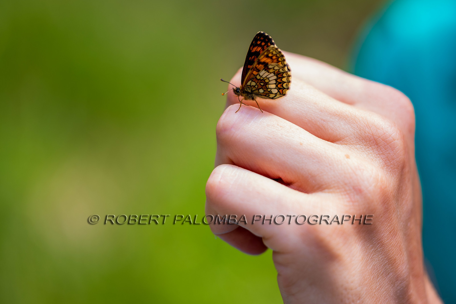 France, Alpes-de-Haute-Provence, Val d'Allos