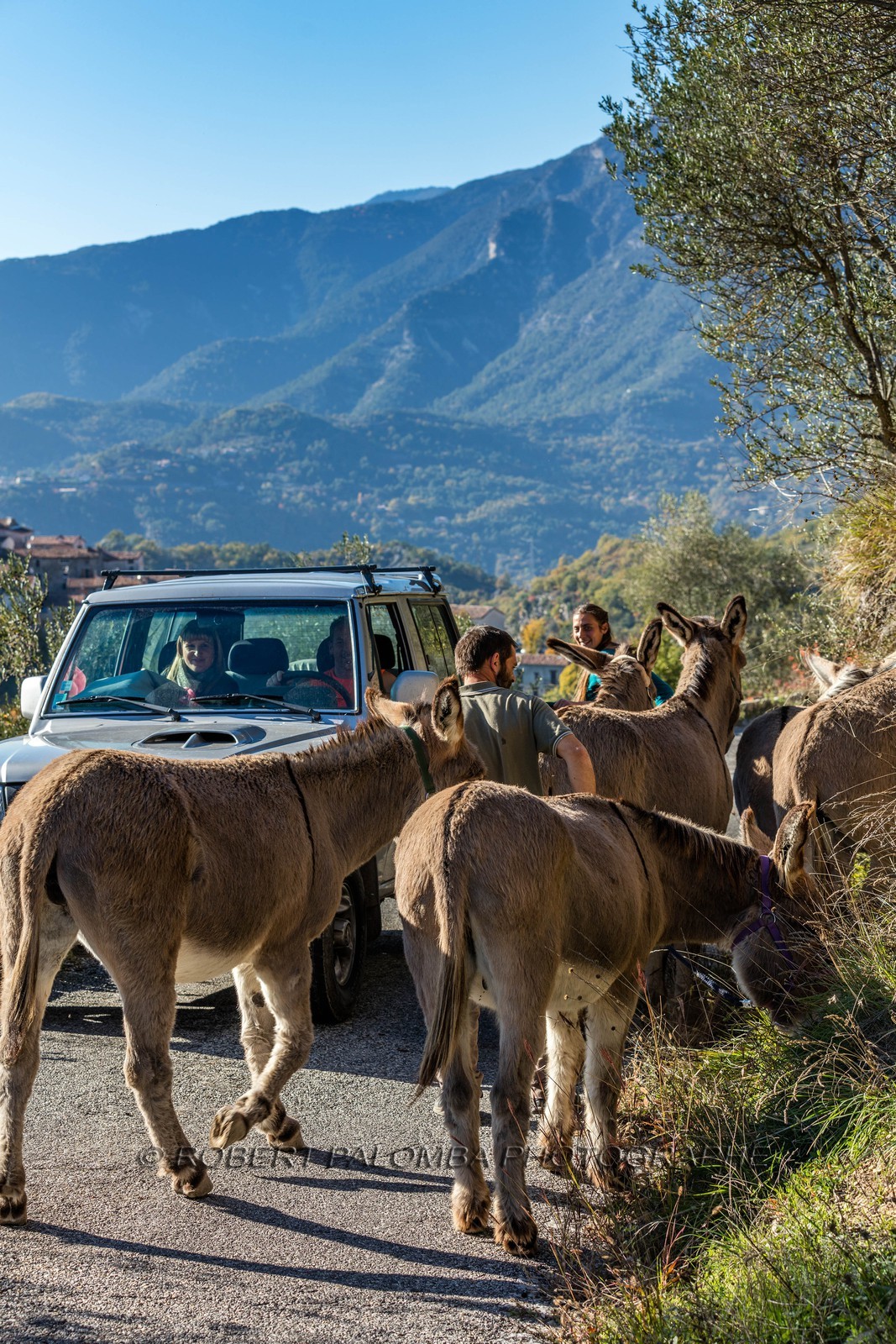Granges de la Brasque