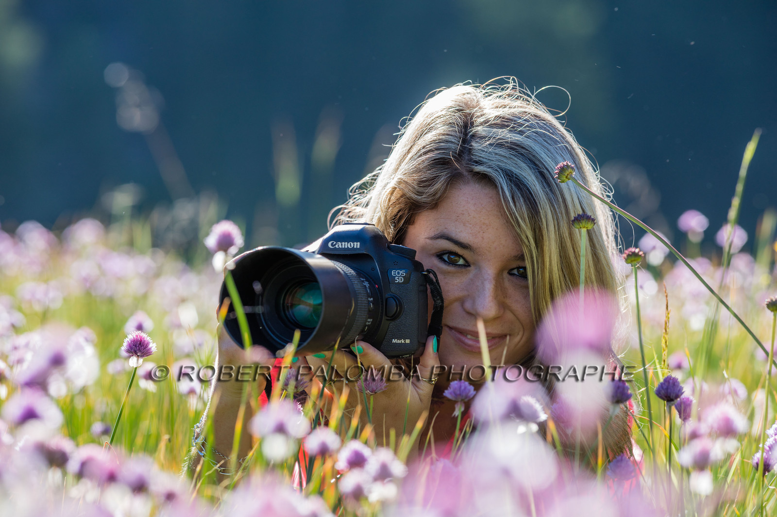 France, Alpes-de-Haute-Provence (04) Val d'Allos