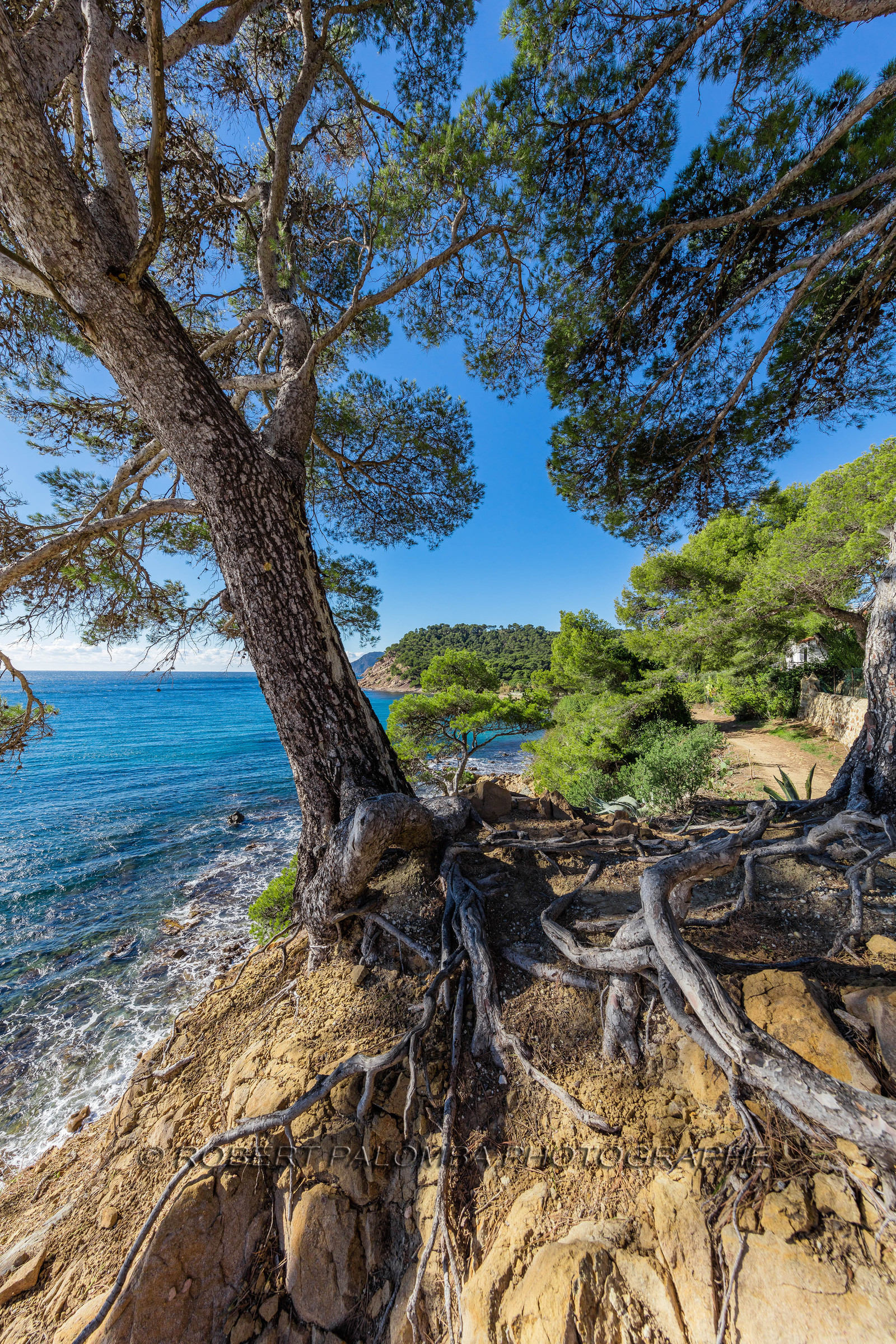 Saint-Mandrier-sur-Mer