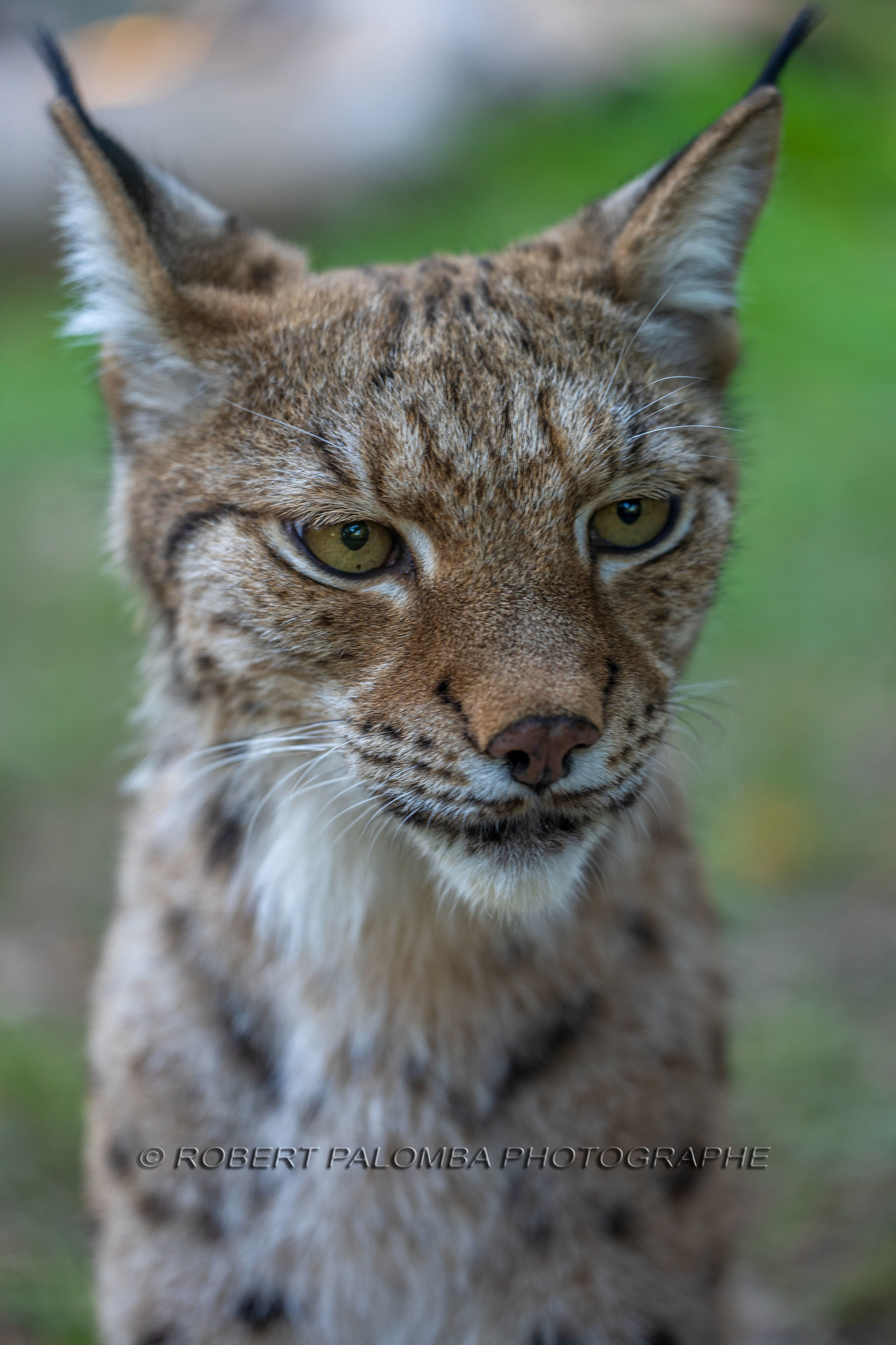 Parc animalier de la Barben