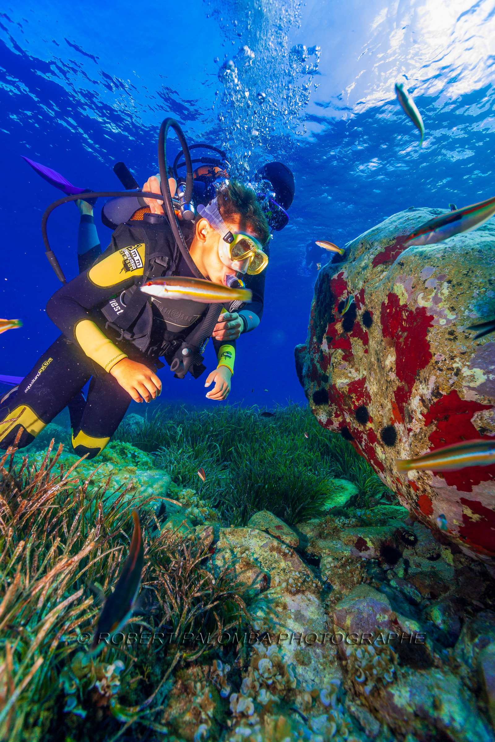 Plongée-sous-marine