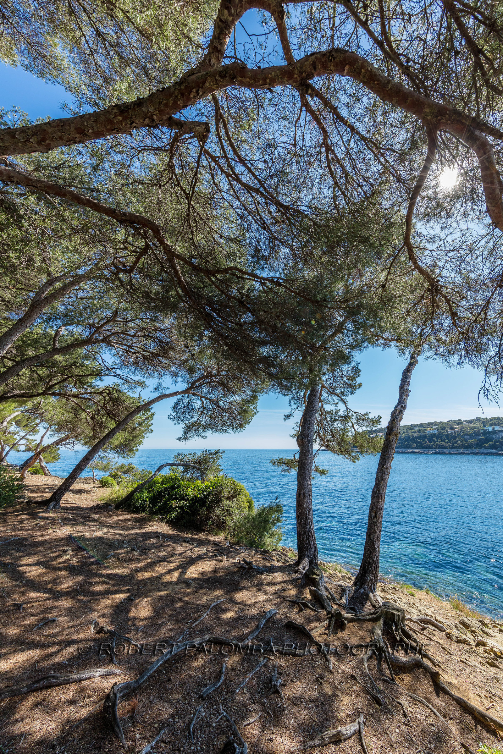 Saint-Jean-Cap-Ferrat.