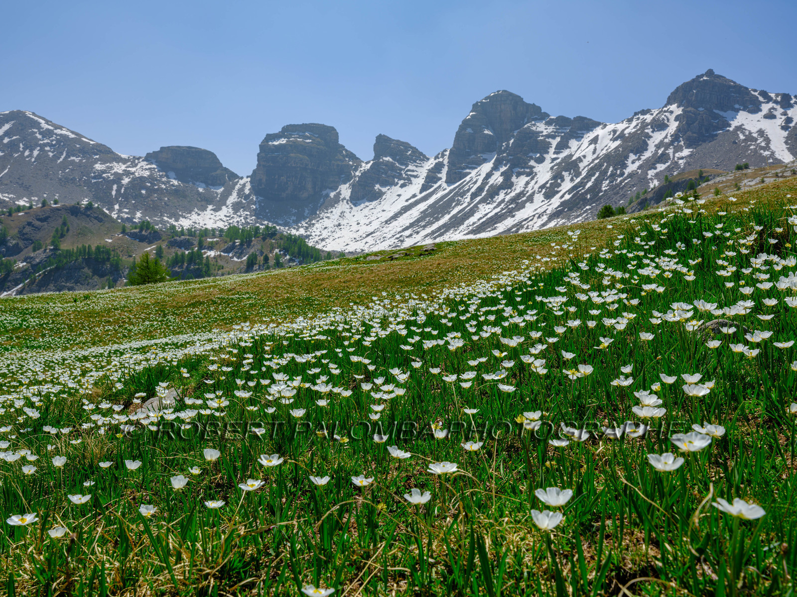 Lac d'Allos