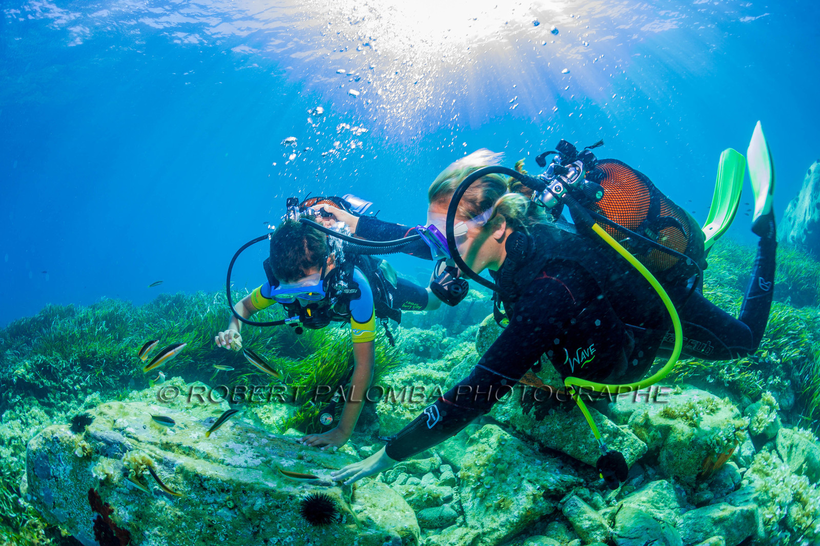 Plongée-sous-marine