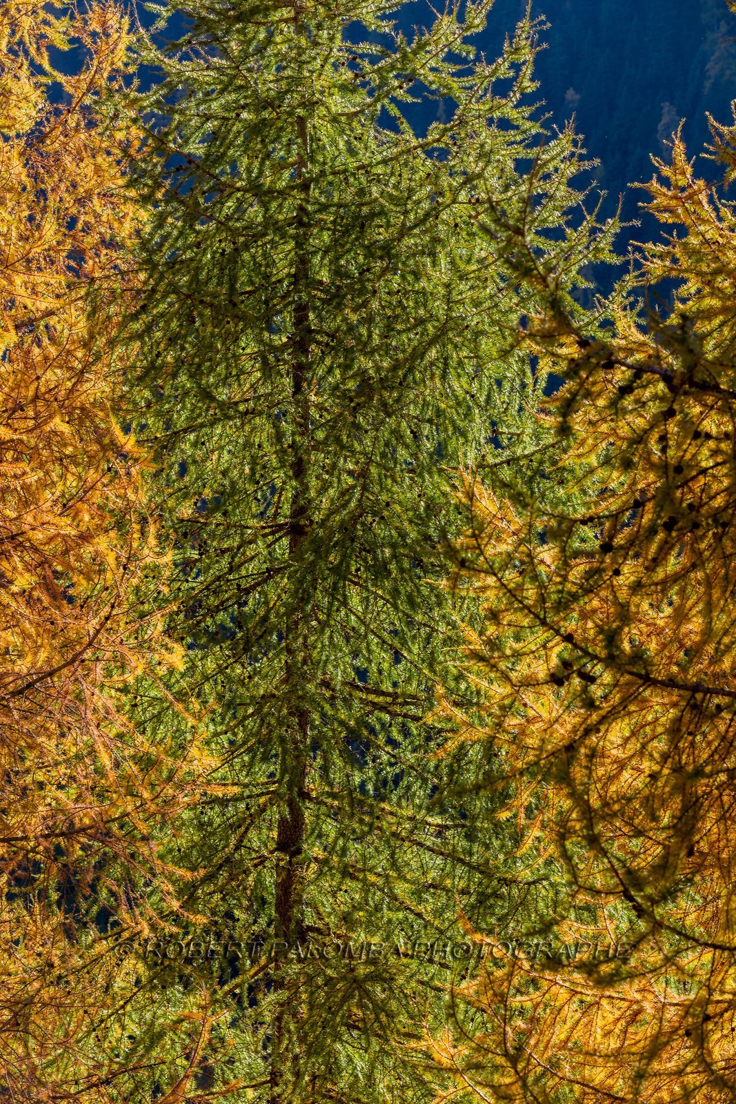 Granges de la Brasque