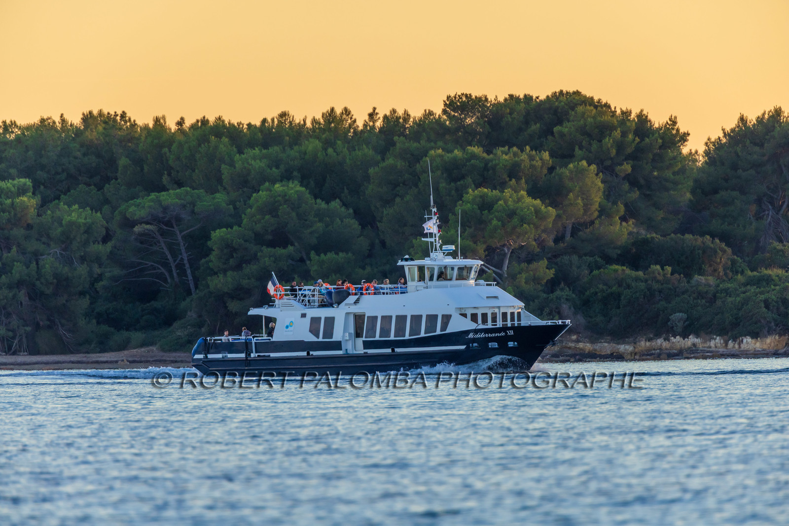 Méditerranée XII