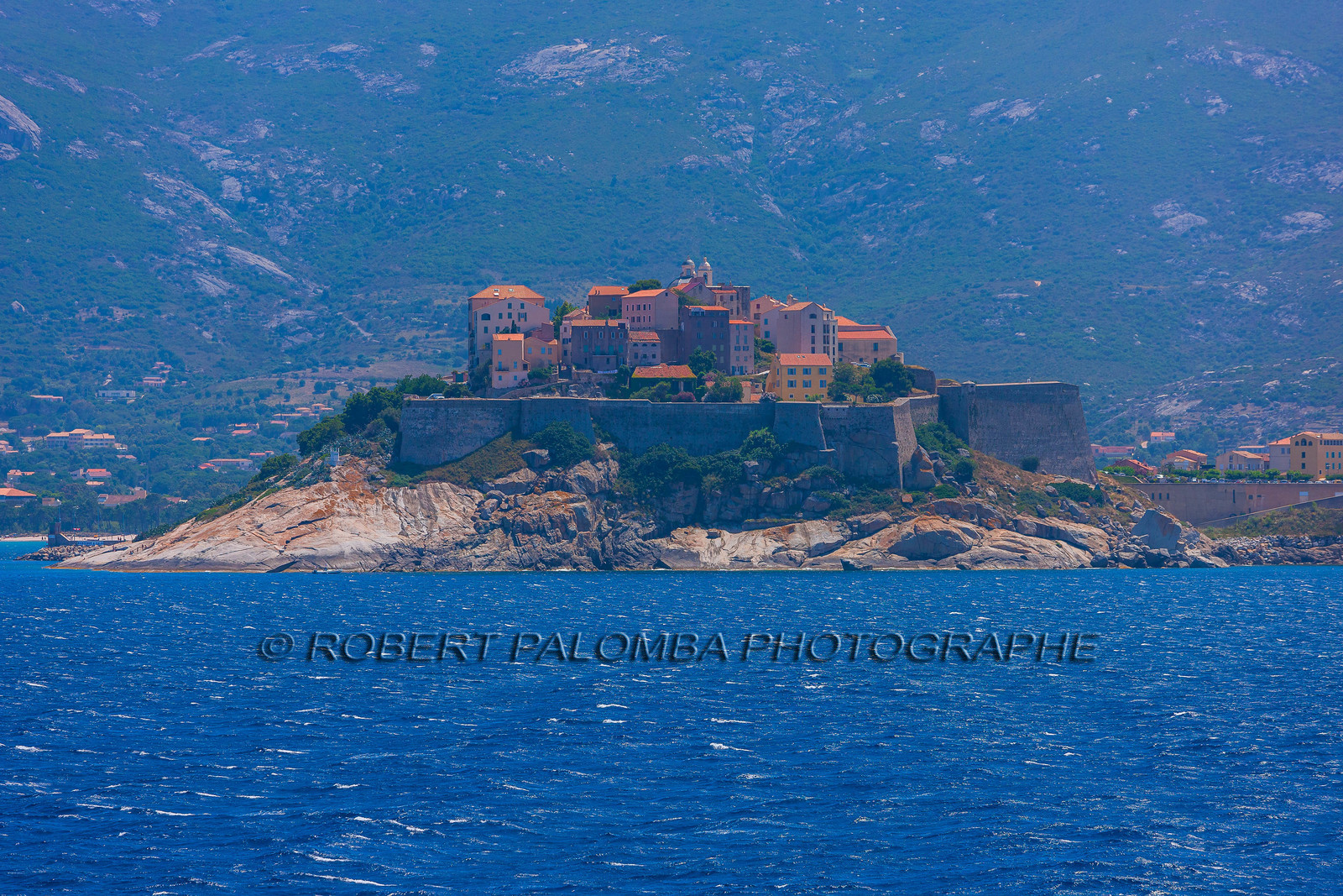 Calvi
