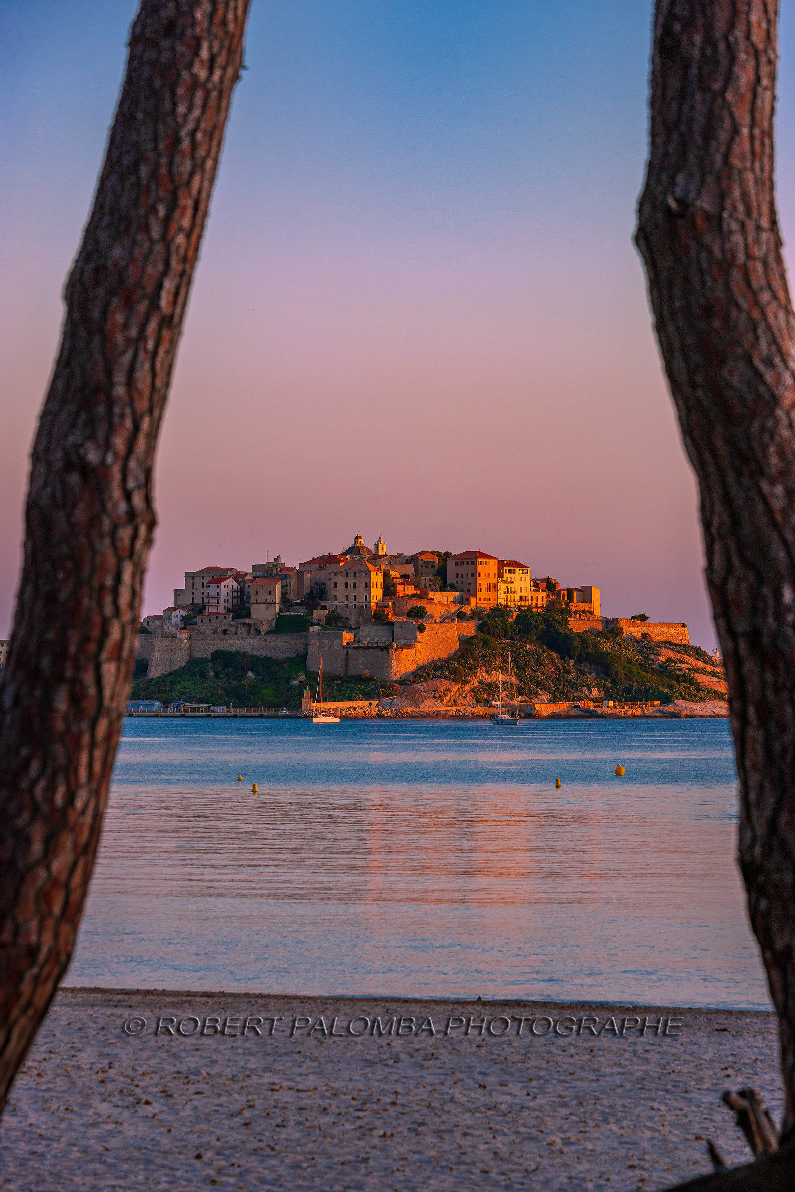 Calvi