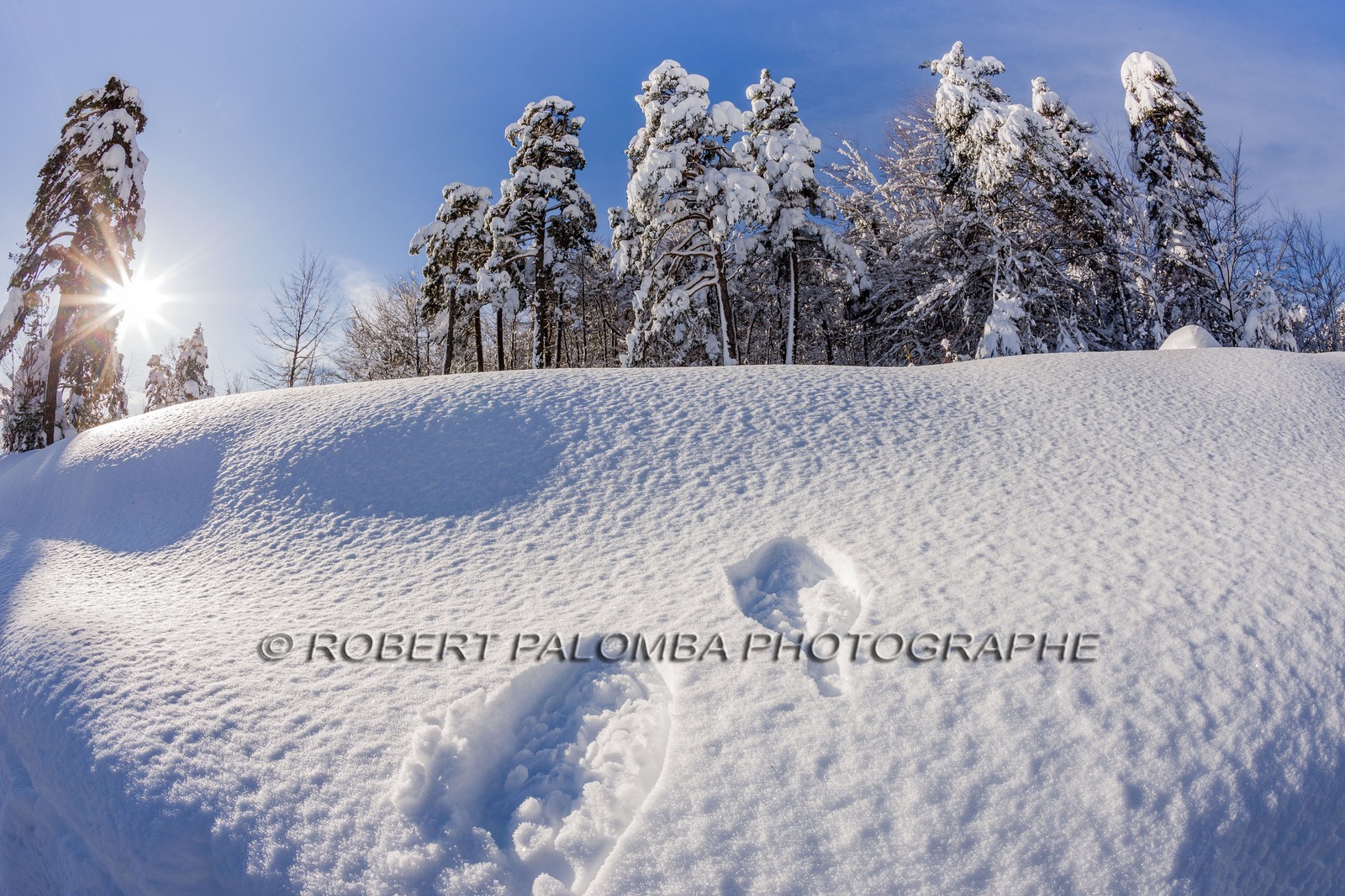 La Colle-Saint-Michel