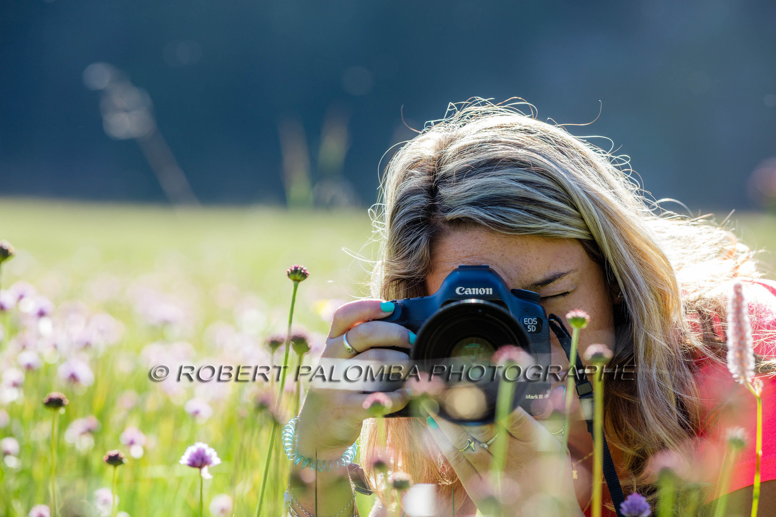 Alpes-de-Haute-Provence (04) Val d'Allos