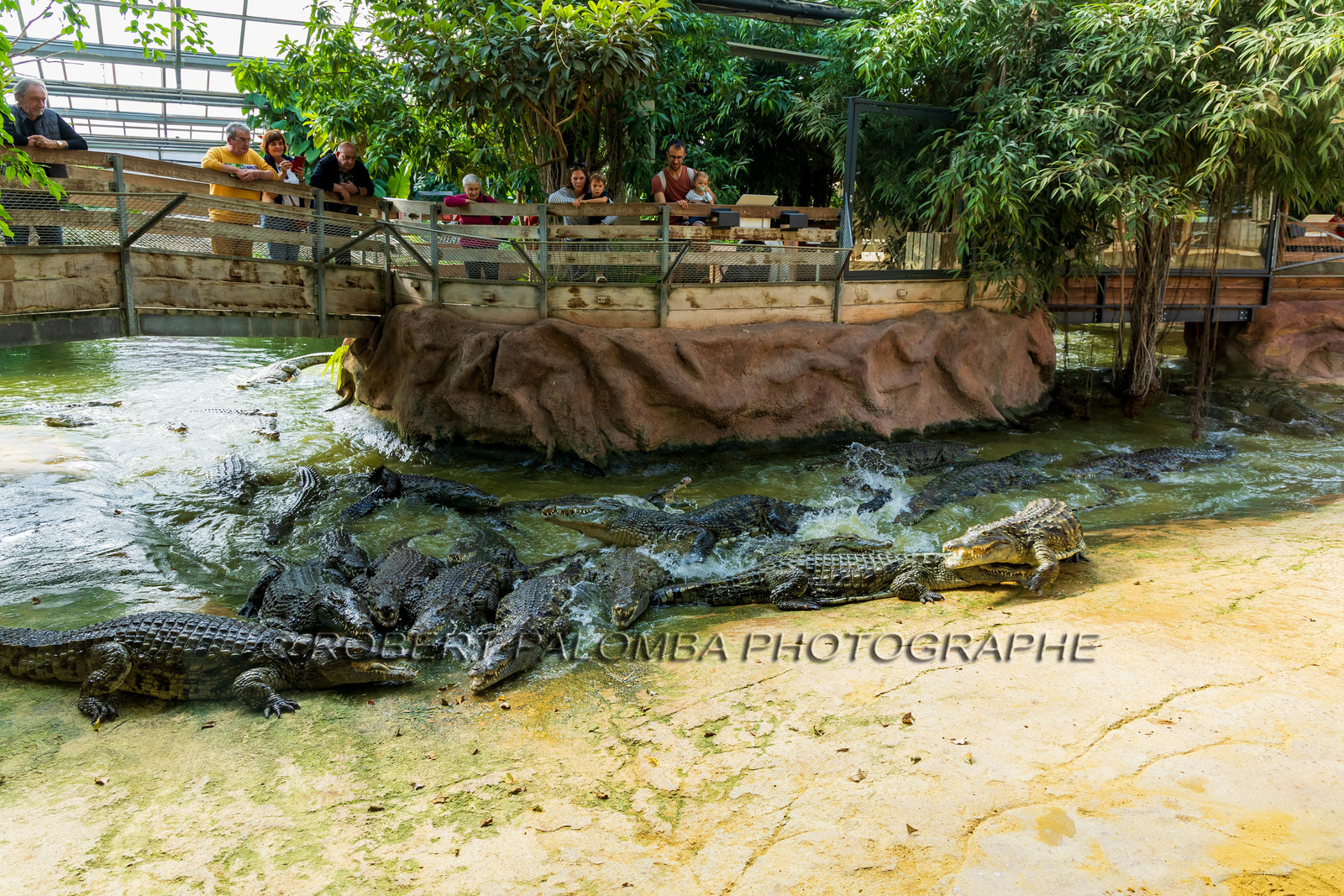 La Ferme aux crocodiles