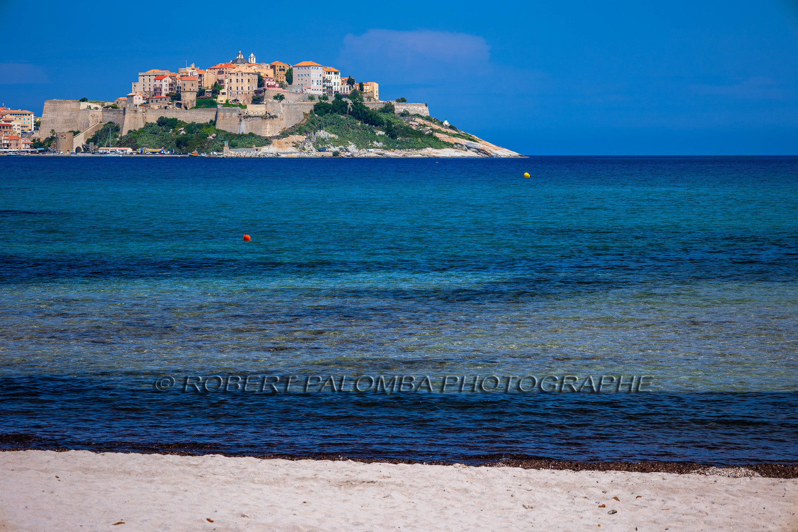 Calvi