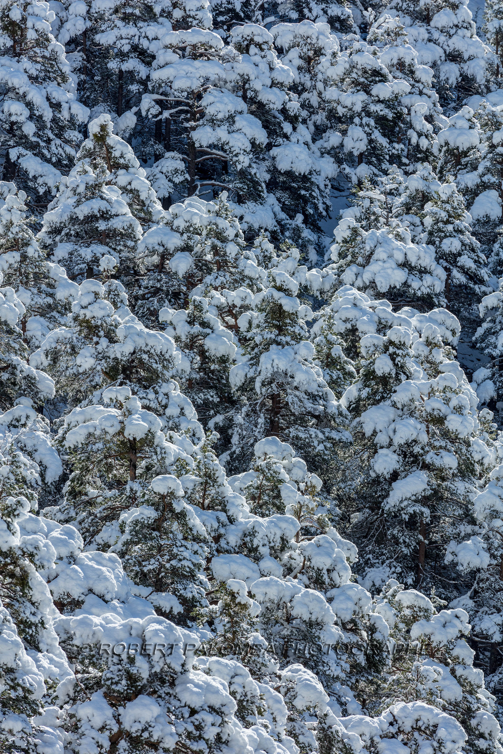 La Colle-Saint-Michel