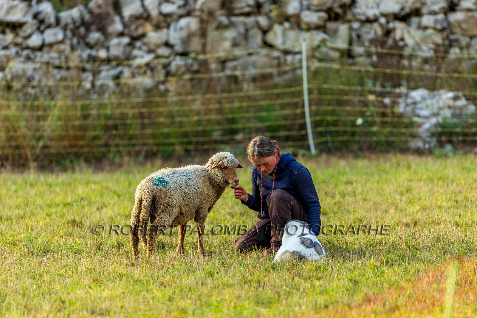 La Colle Saint-Michel