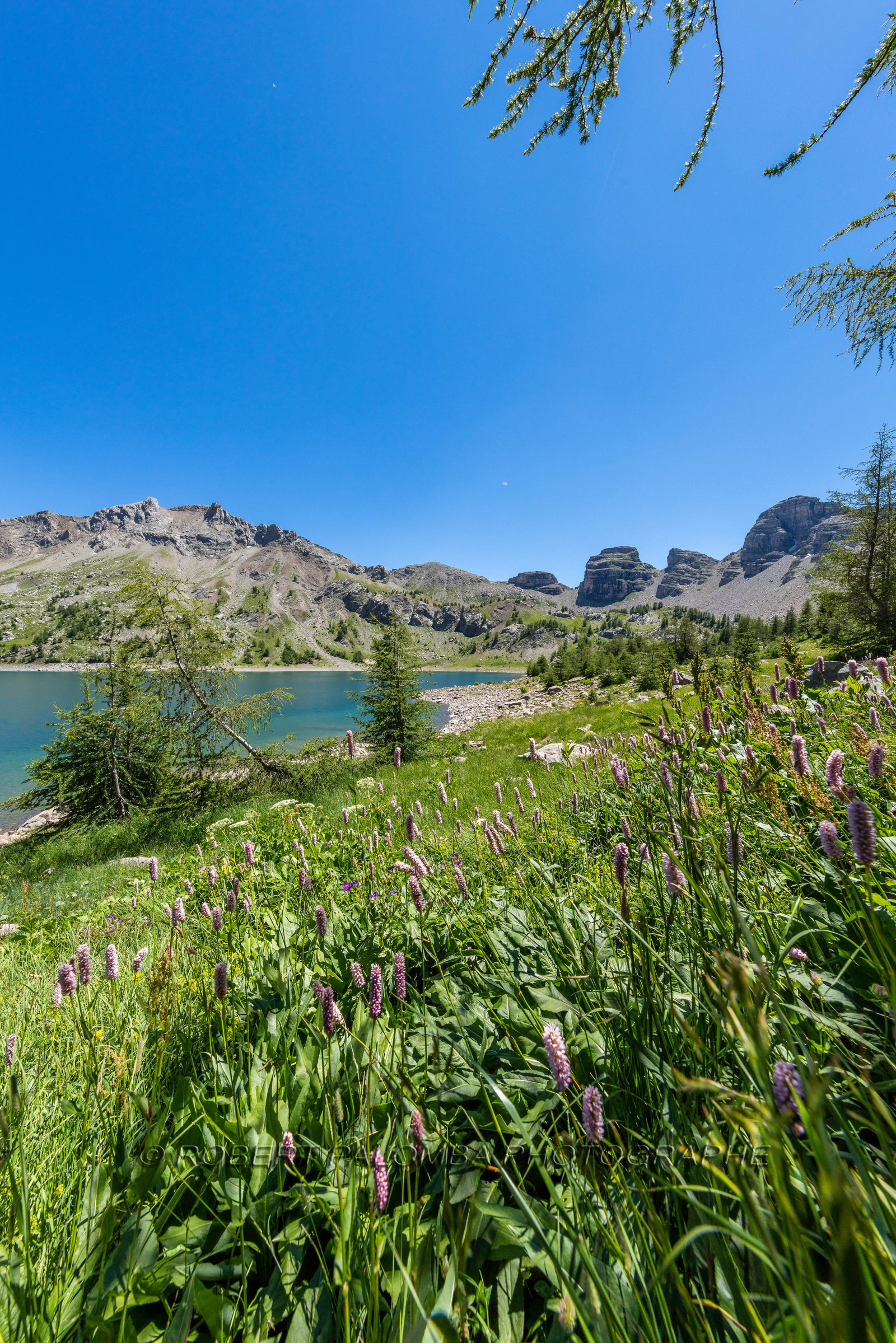 Lac d'Allos