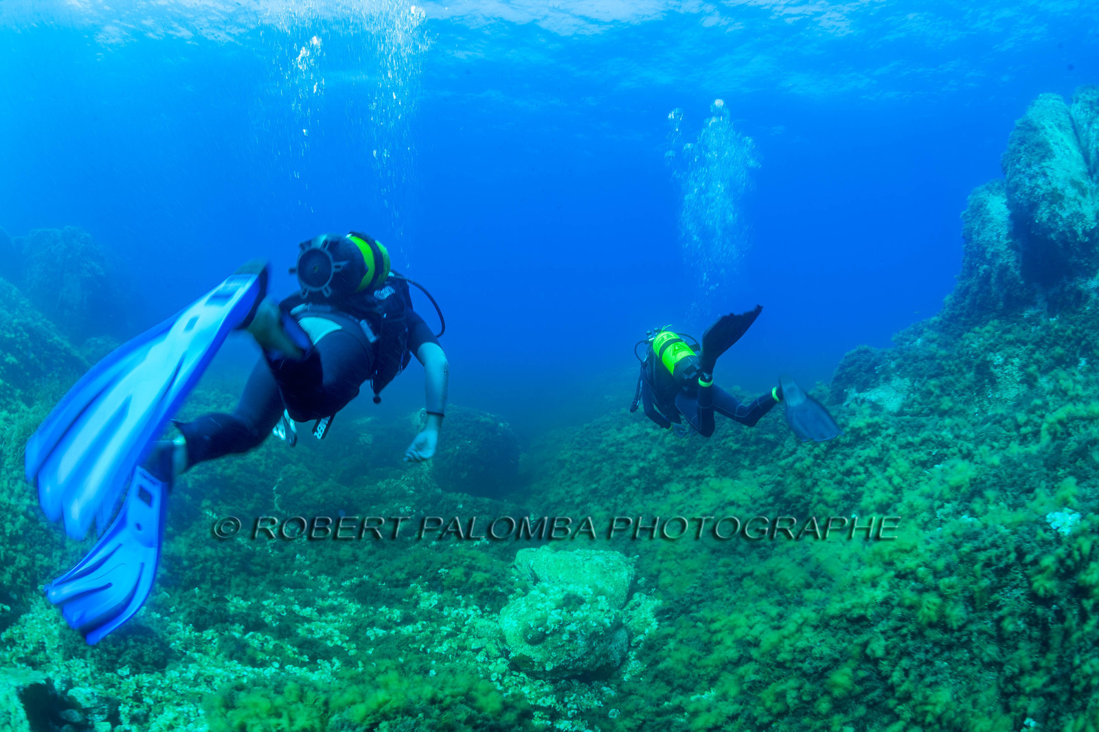 Plongée-sous-marine