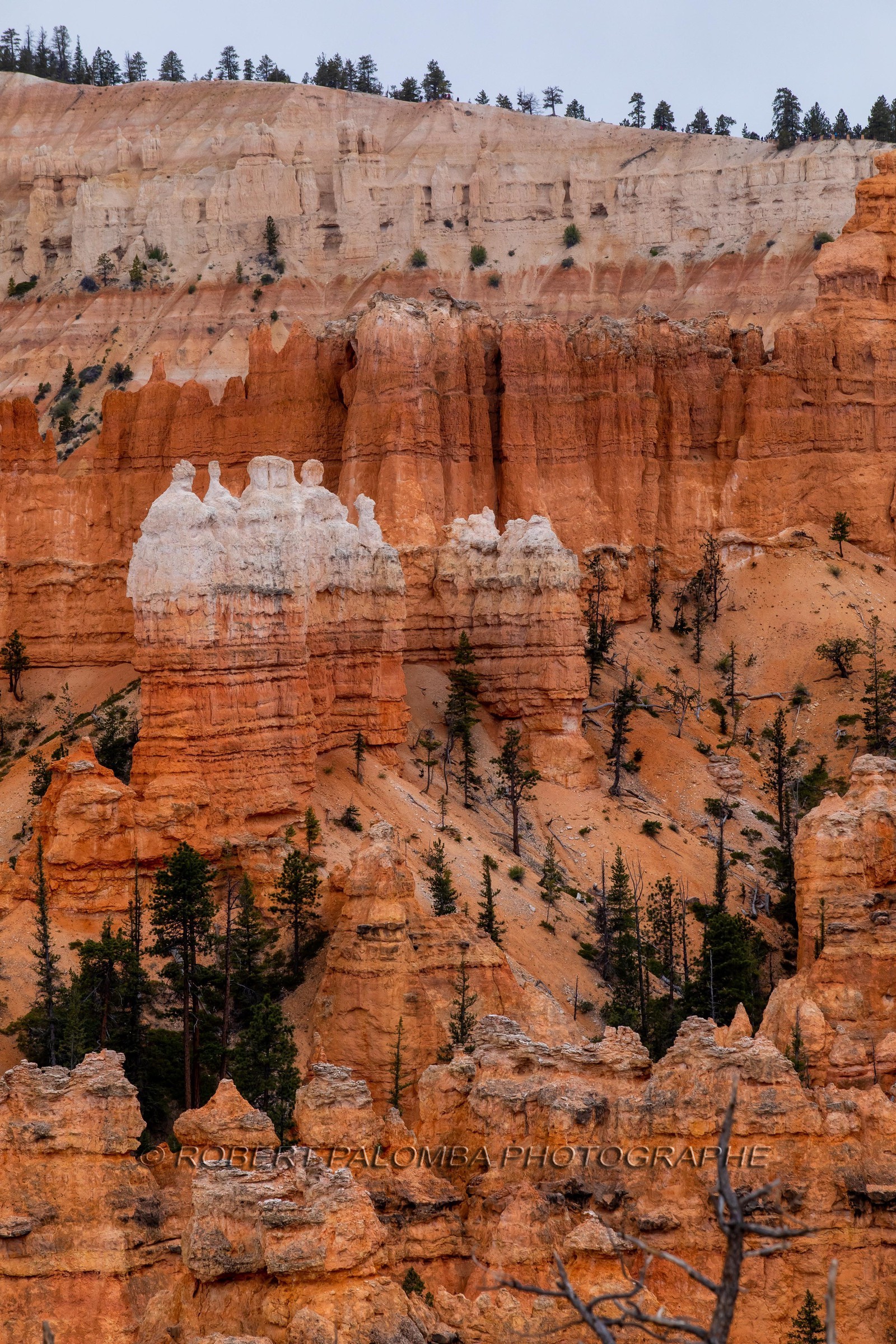 Bryce Canyon
