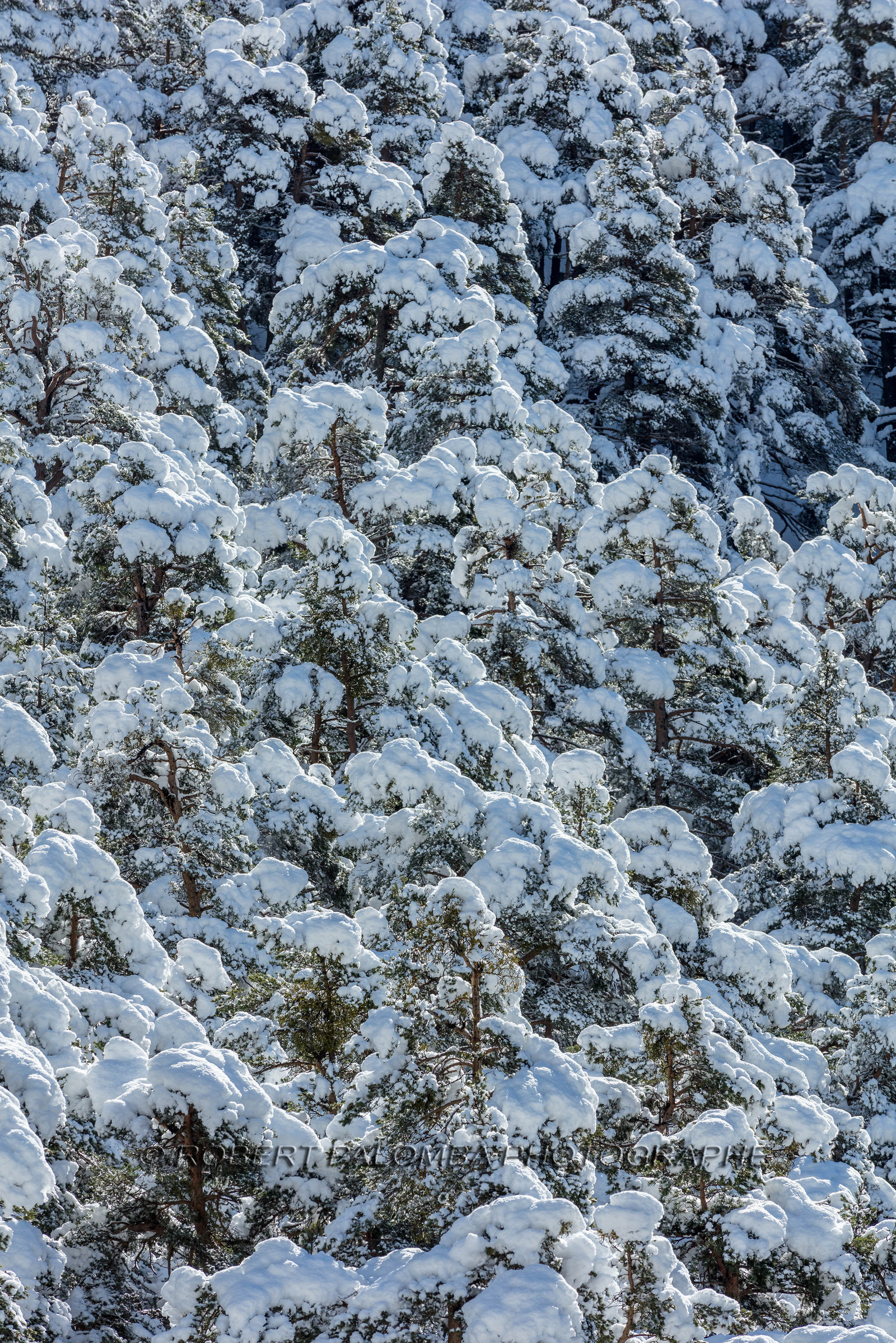 La Colle-Saint-Michel
