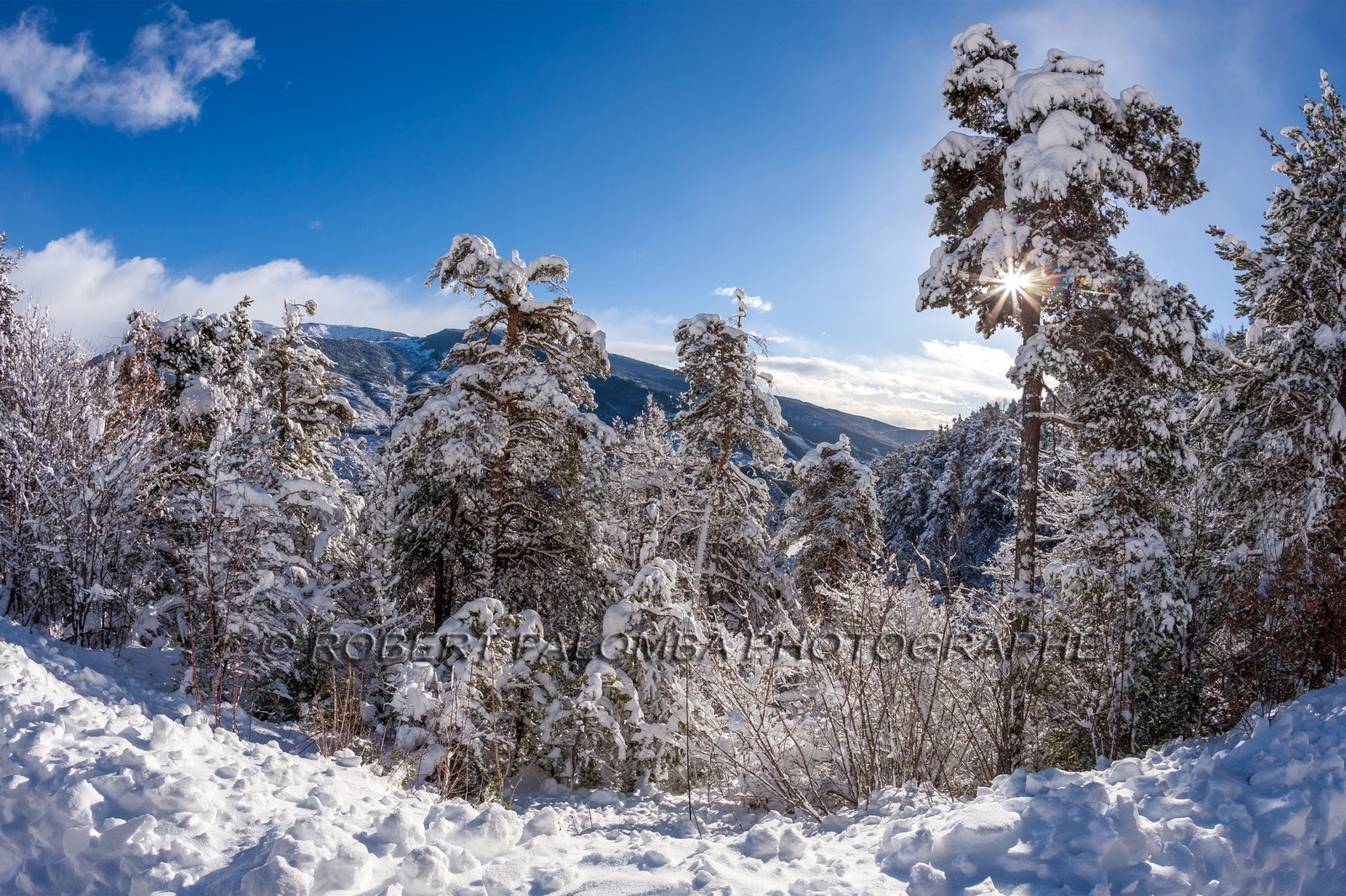 La Colle-Saint-Michel