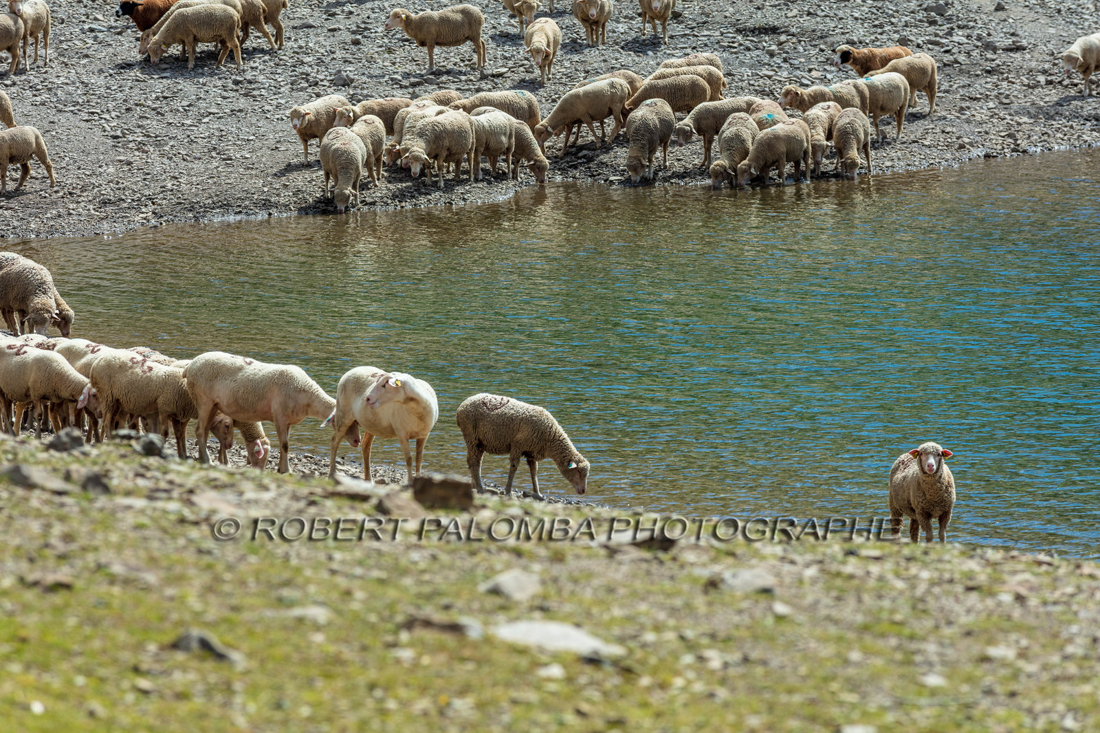 Lac d'Allos