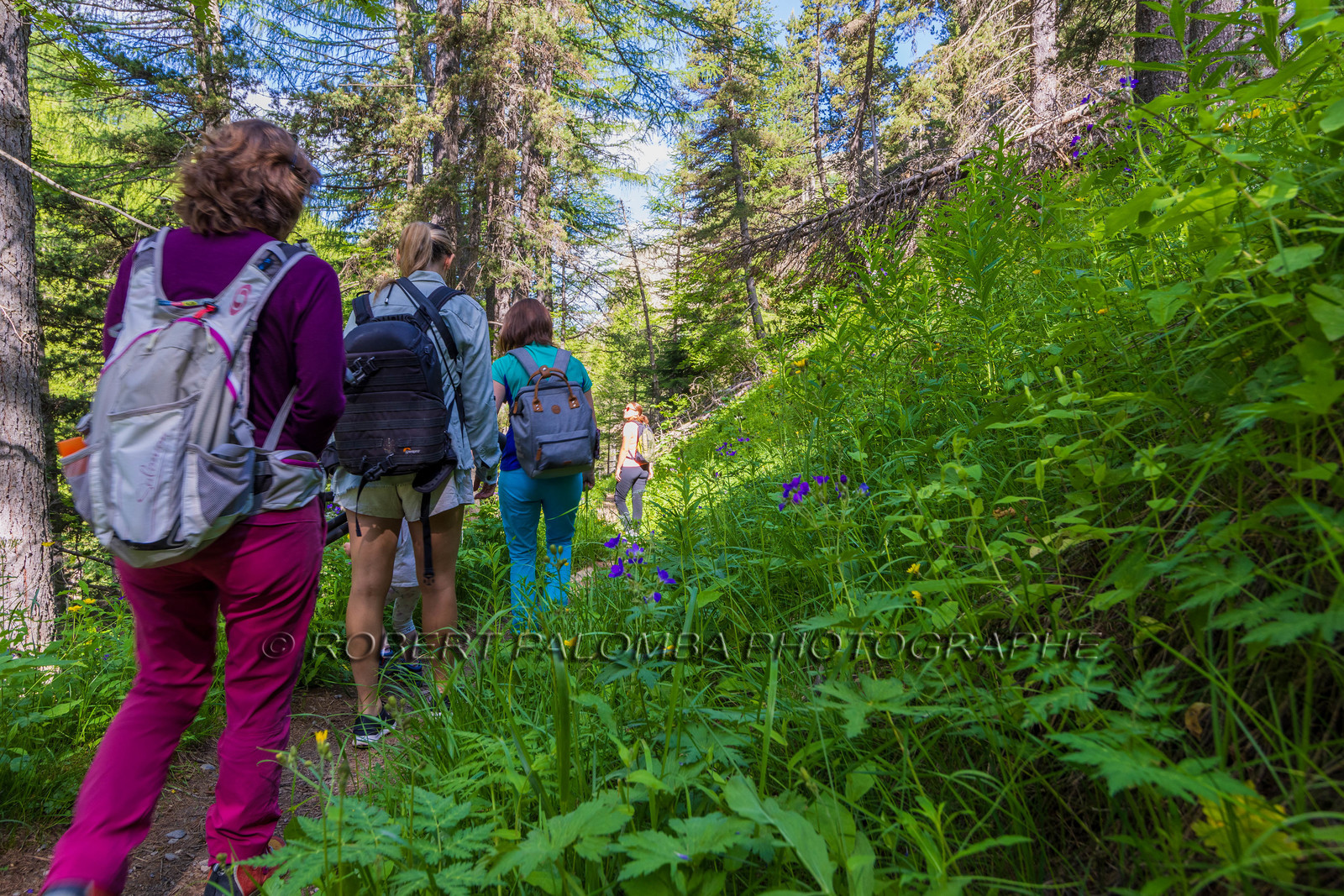 Cascade du Chadoulin