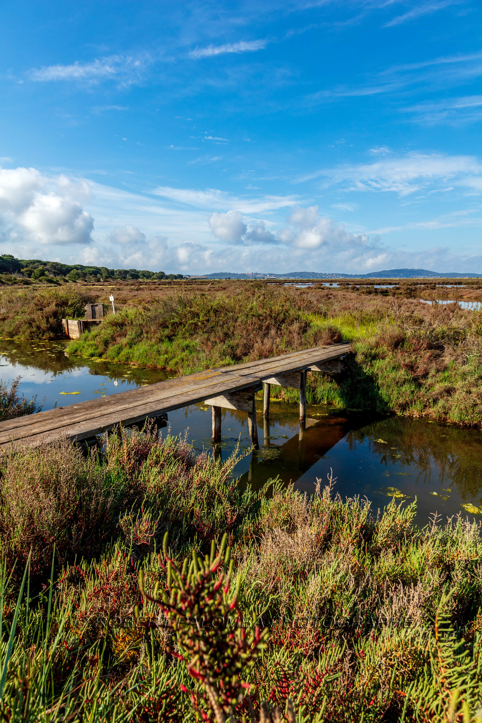 Salins d'Hyères