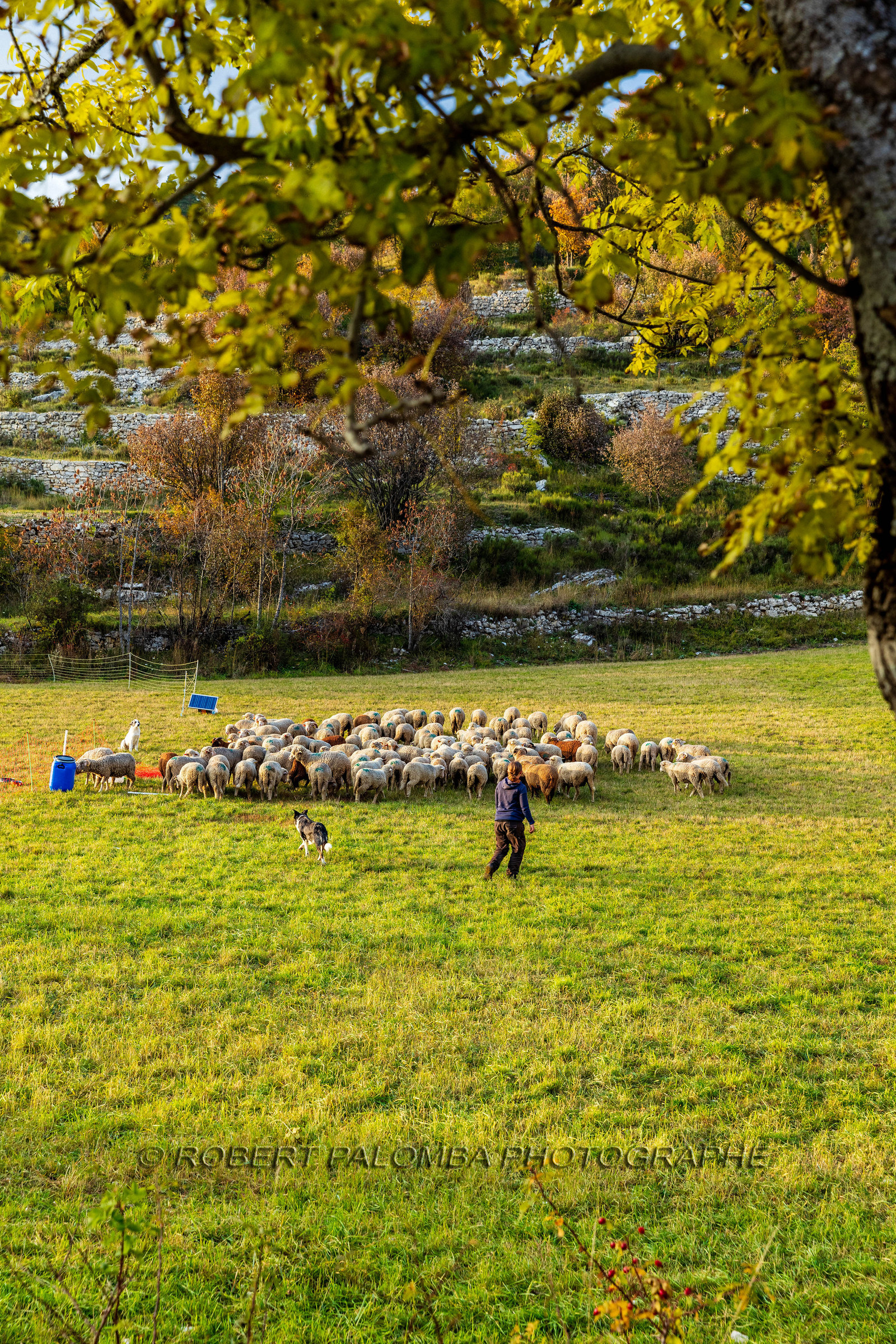 La Colle Saint-Michel
