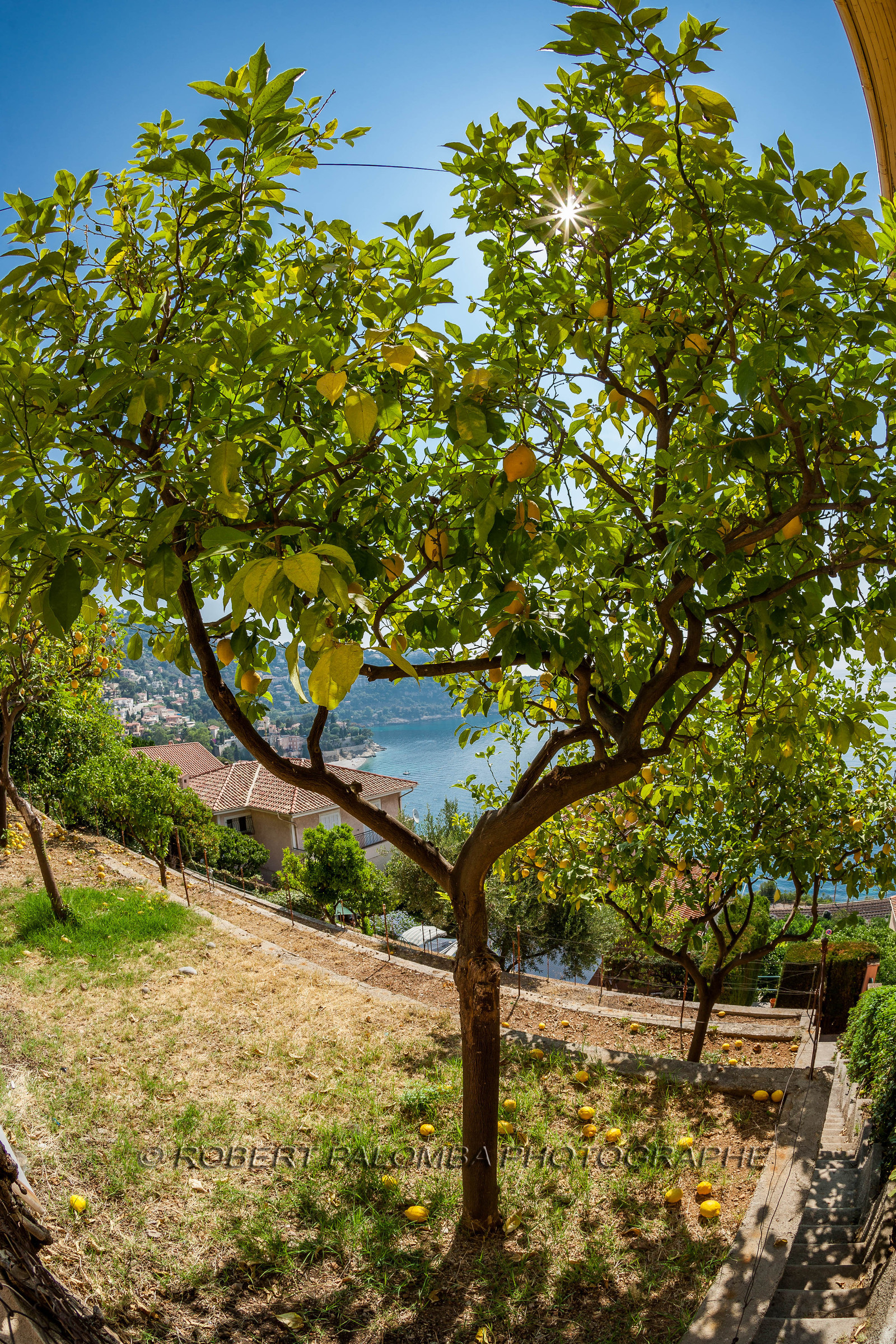 Roquebrune-Cap-Martin